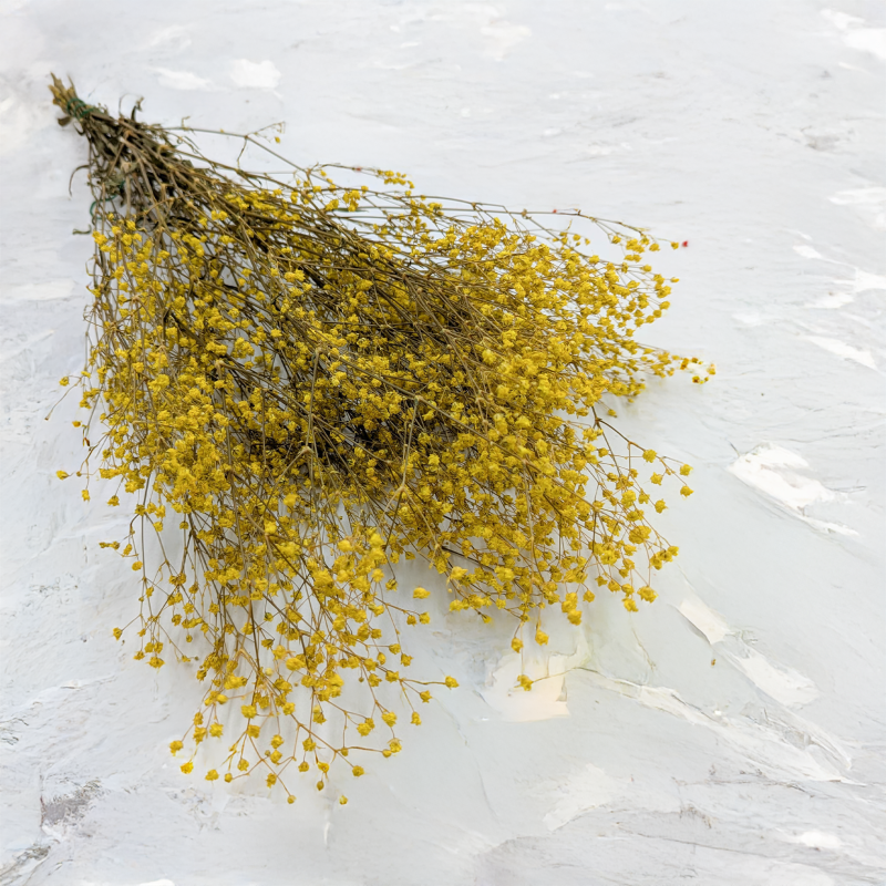 Gipsówka stabilizowana pastelowy żółty.png