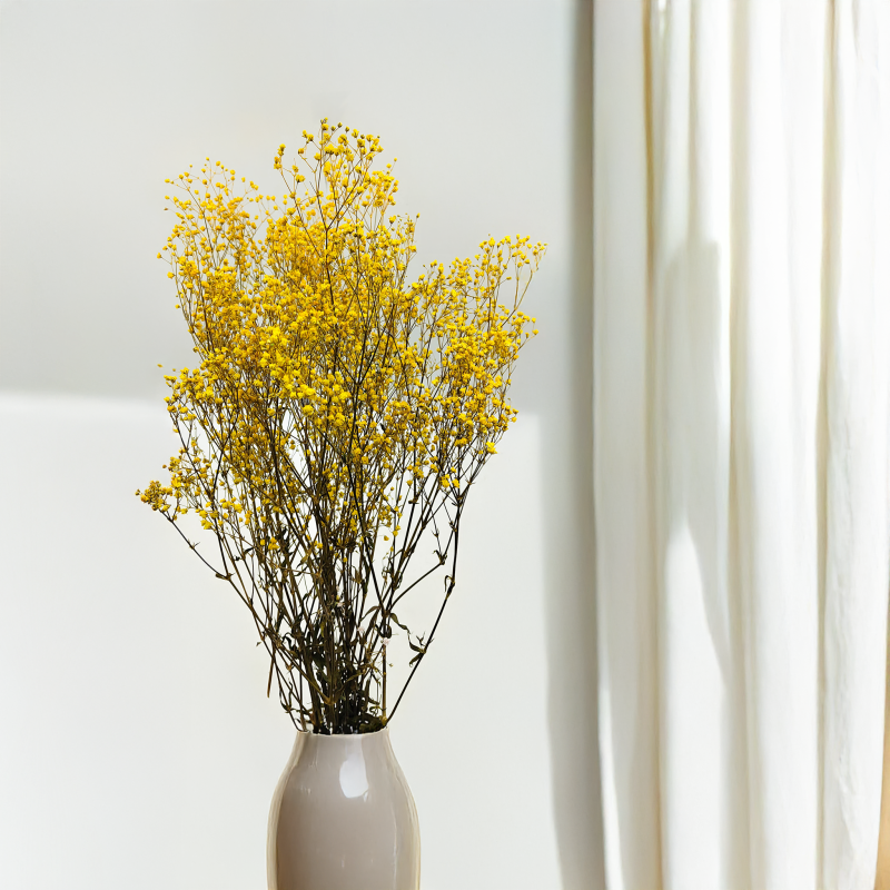 Gipsówka Stabilizowana Limonka IT wazon 1.png