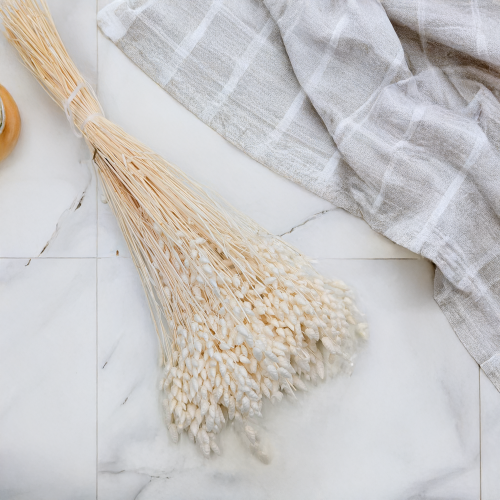 Briza Maxima bielona 1.png