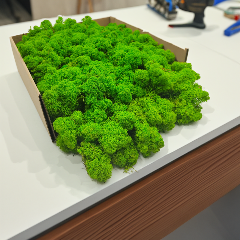 MECH chrobotek jasnozielony zblizenie2.png