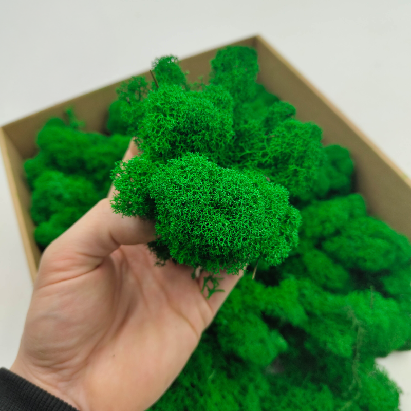 Zielony zblizenie.png