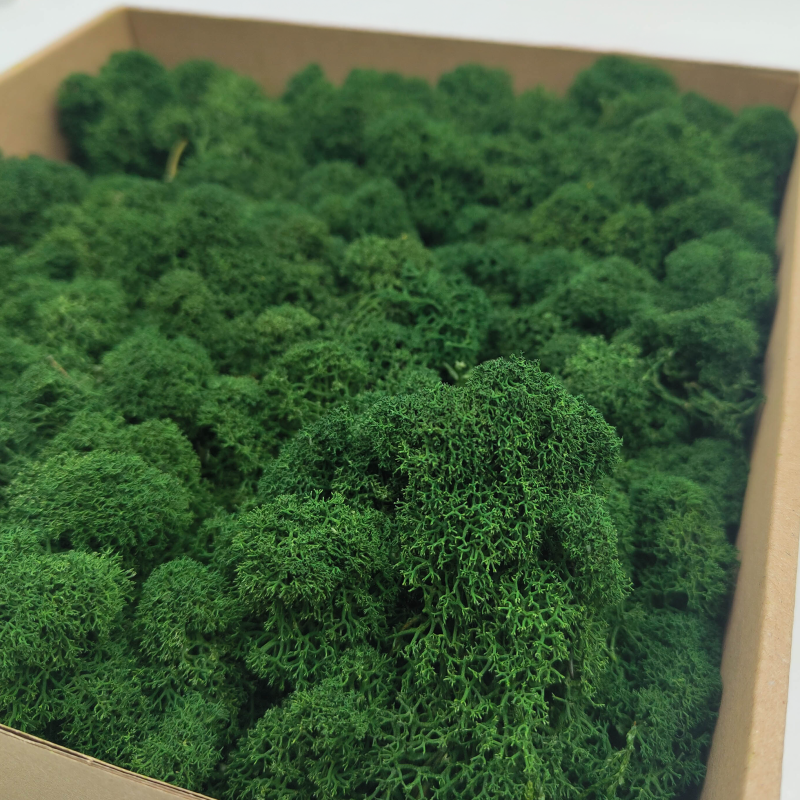 Butelkowa zielen zblizenie.png