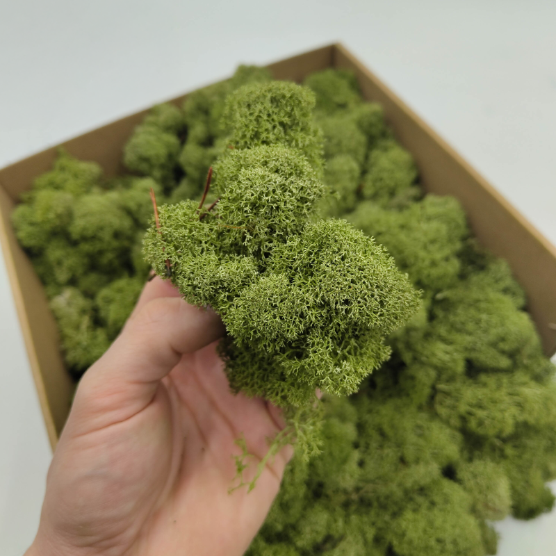 Średnia Zieleń zblizenie.png