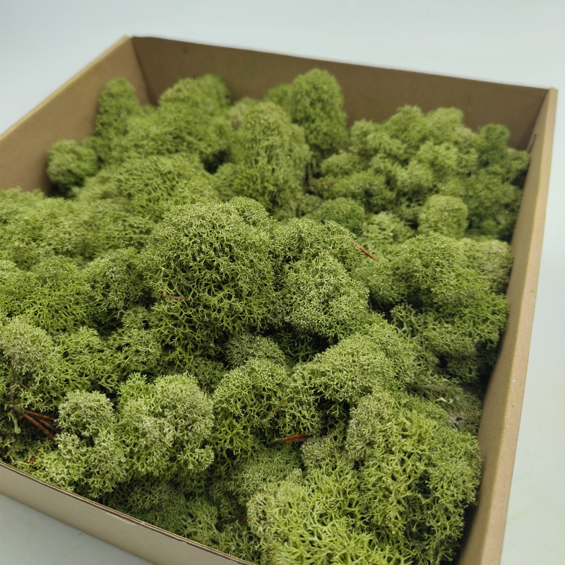 Średnia Zieleń zblizenie 1.png