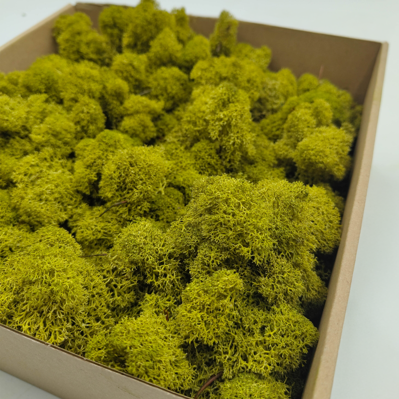 Limonka zblizenie 1.png