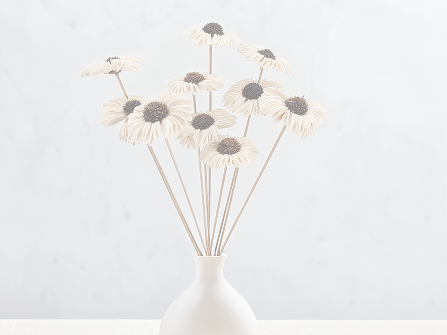 Shola-Blumenkollektion