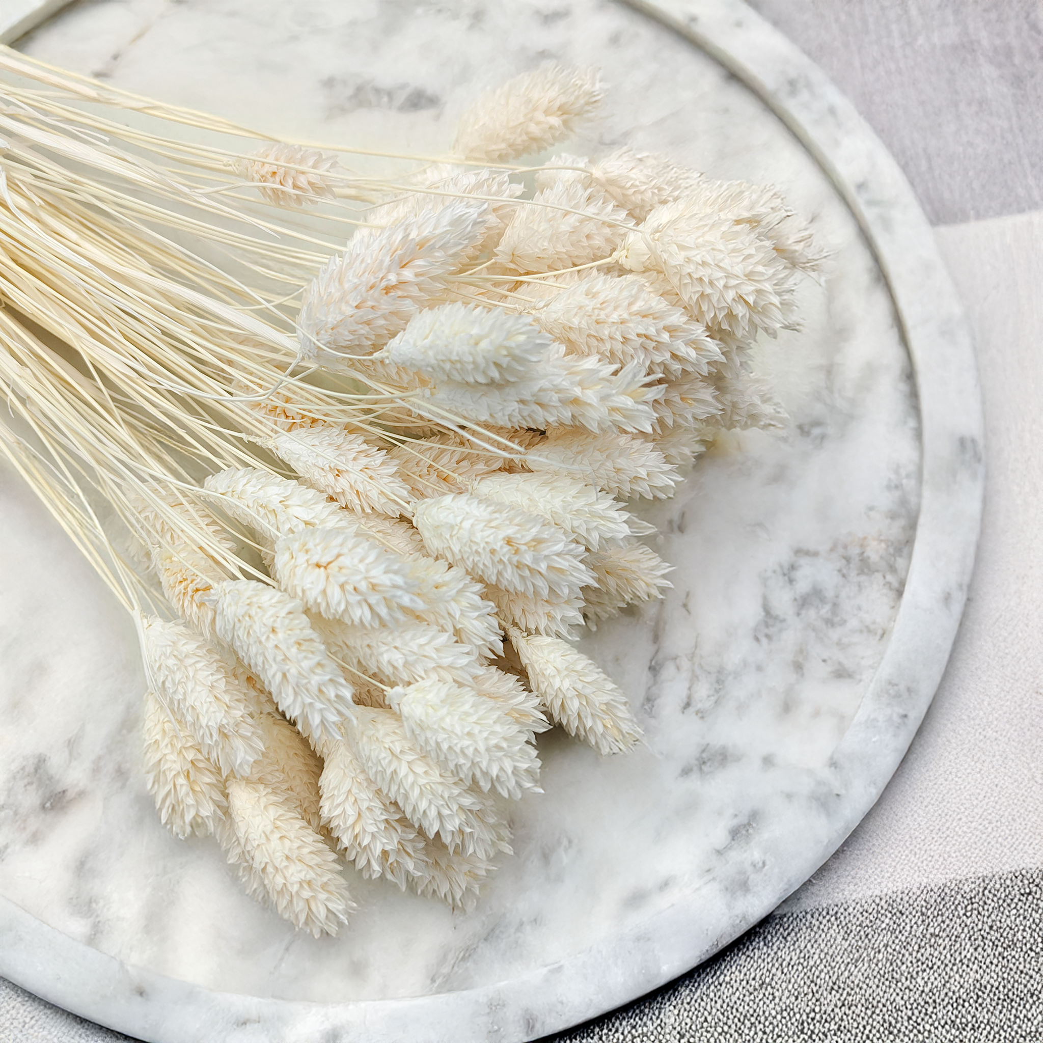 Extra gebleichtes Kanariengras