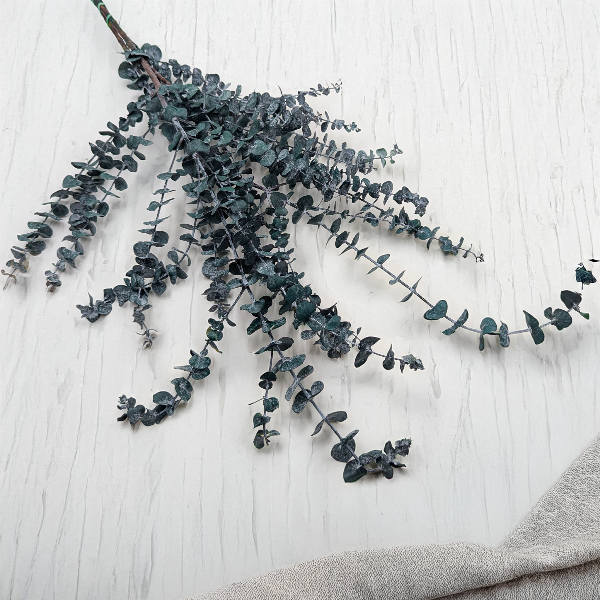 Baby Blue Zweige
