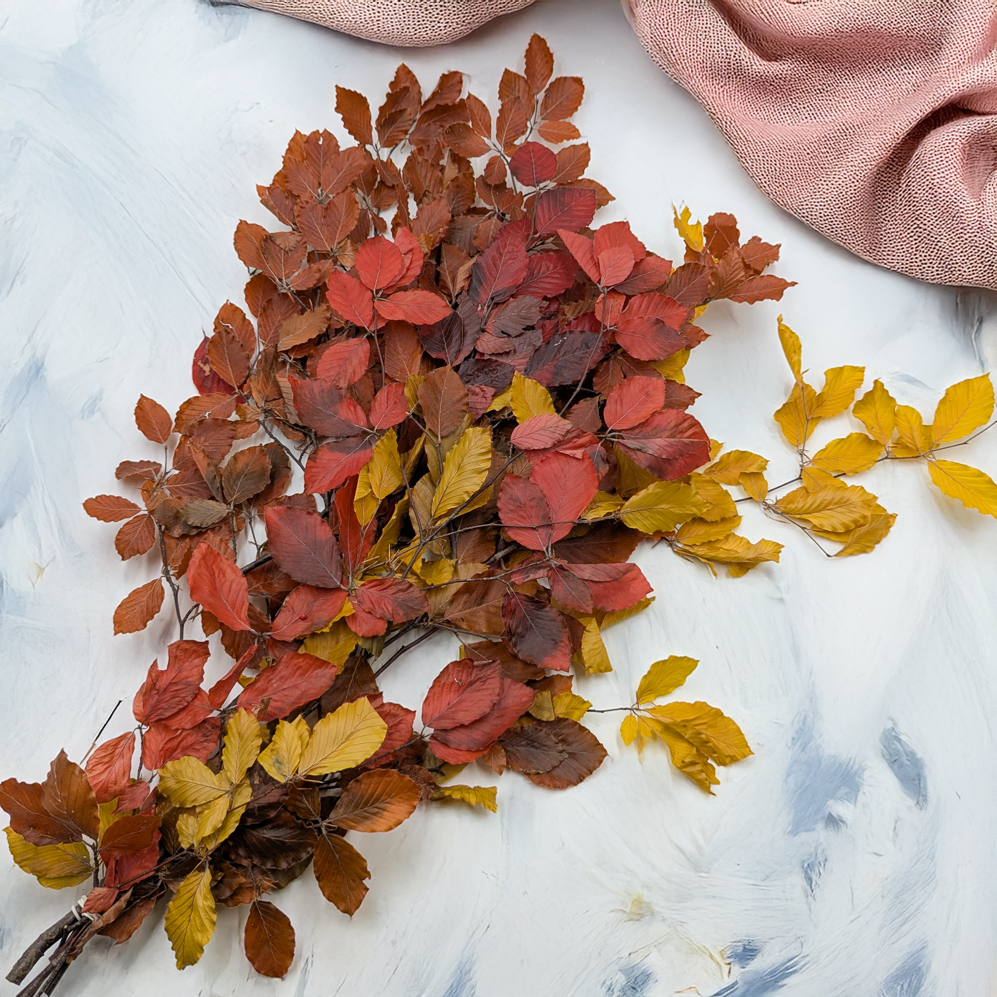 Stabilisierte Buche in herbstlicher Farbe