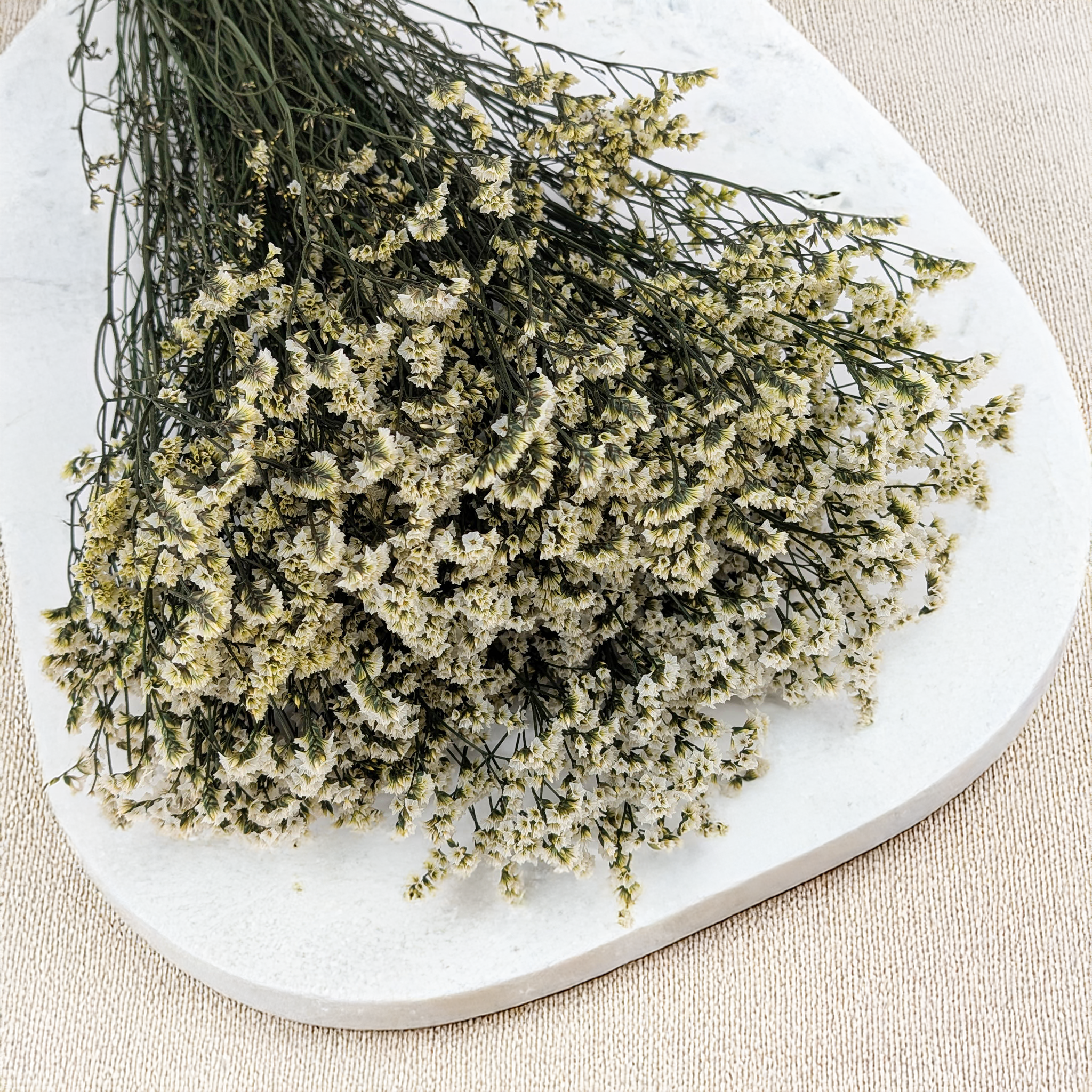 Stabilisiertes Limonium Sinense für Kränze