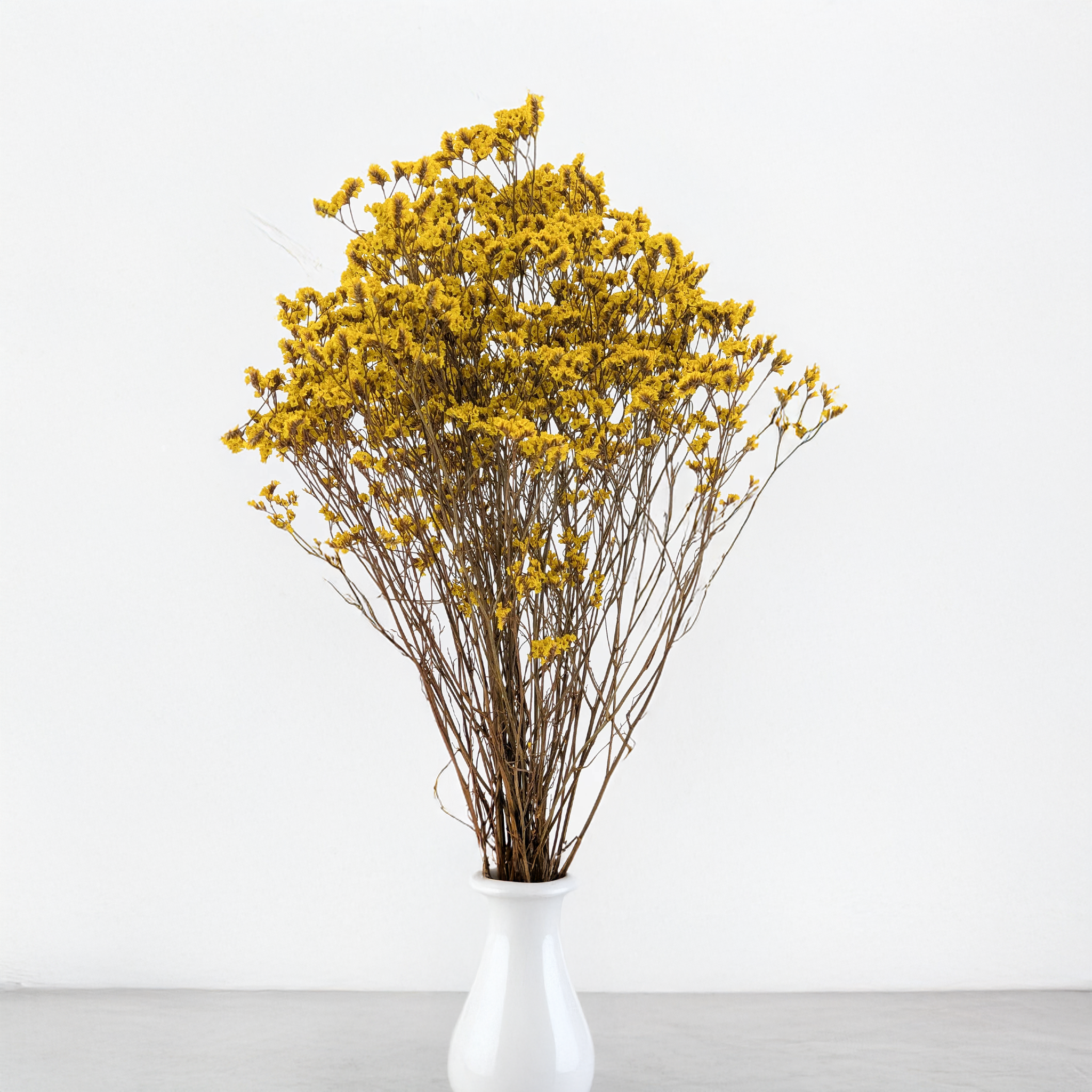 Farbiges stabilisiertes Limonium Sinense