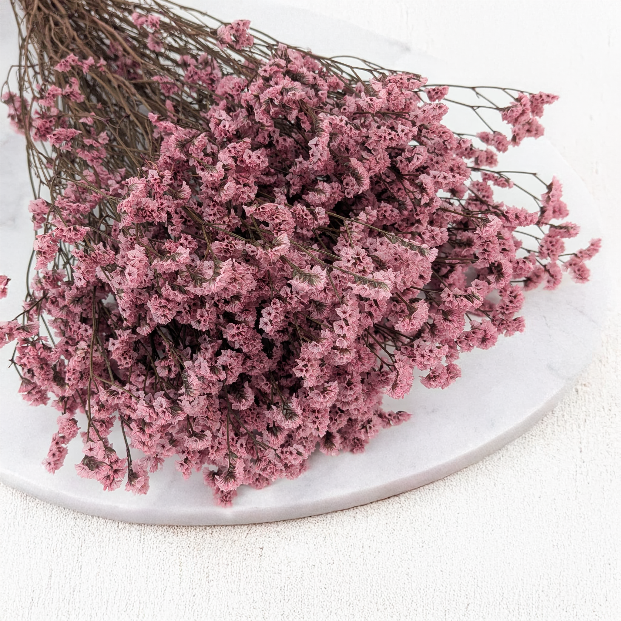 Stabilisiertes Limonium Sinense