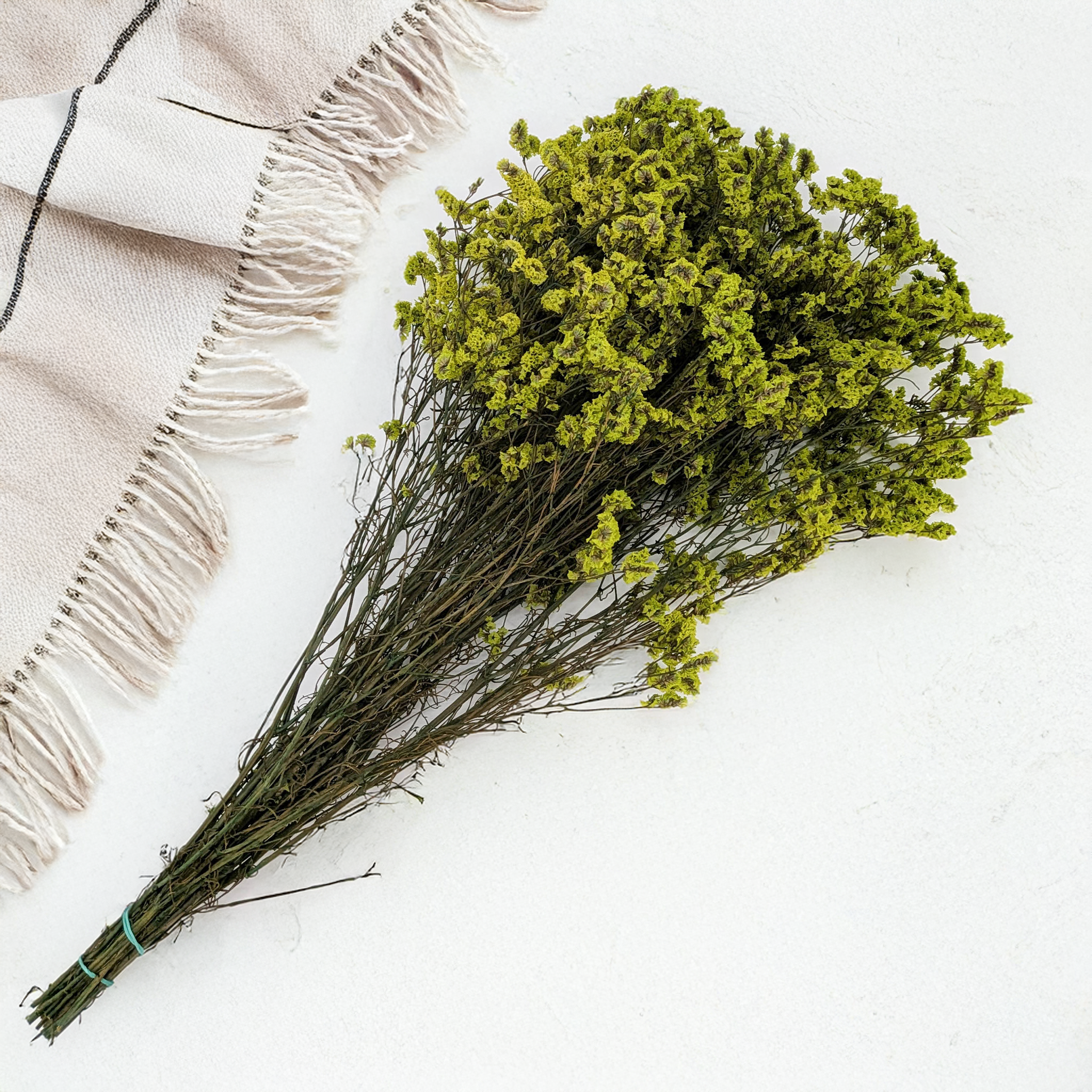 Limonium Sinense für floristische Dekorationen