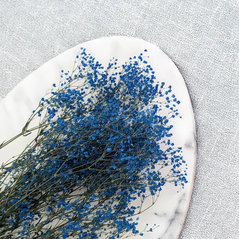 Blaue stabilisierte Schleierkraut