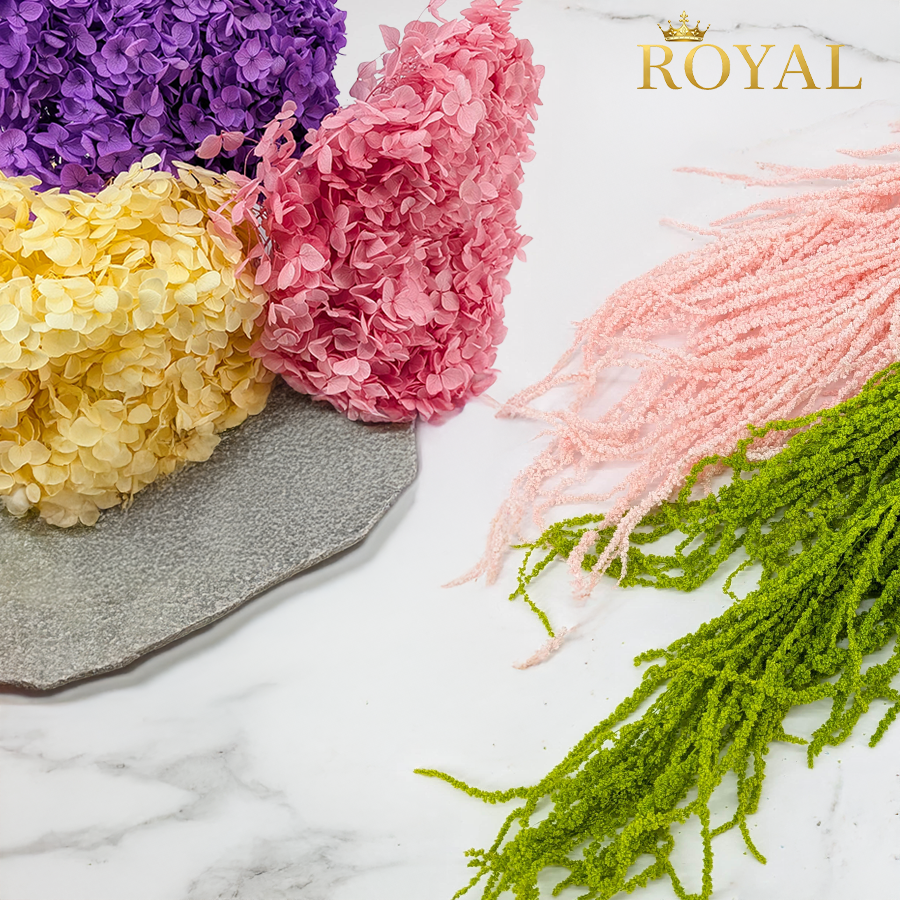 Royal by Enchanted — prachtvolle Trockenblumen