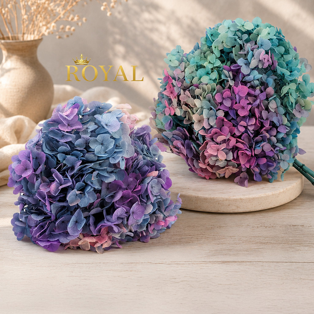 Gebleichter Broom Bloom
