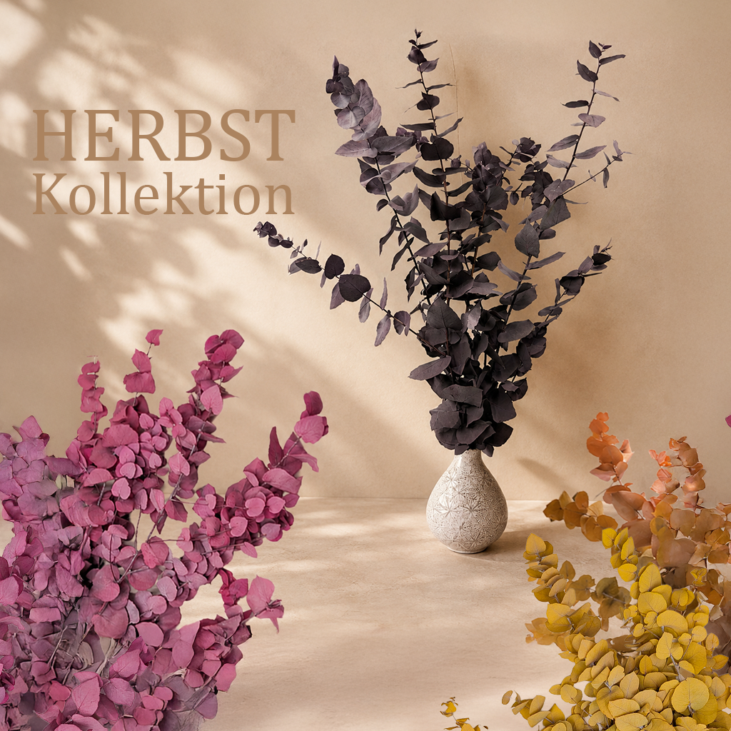 Herbstkollektion stabilisierter Pflanzen