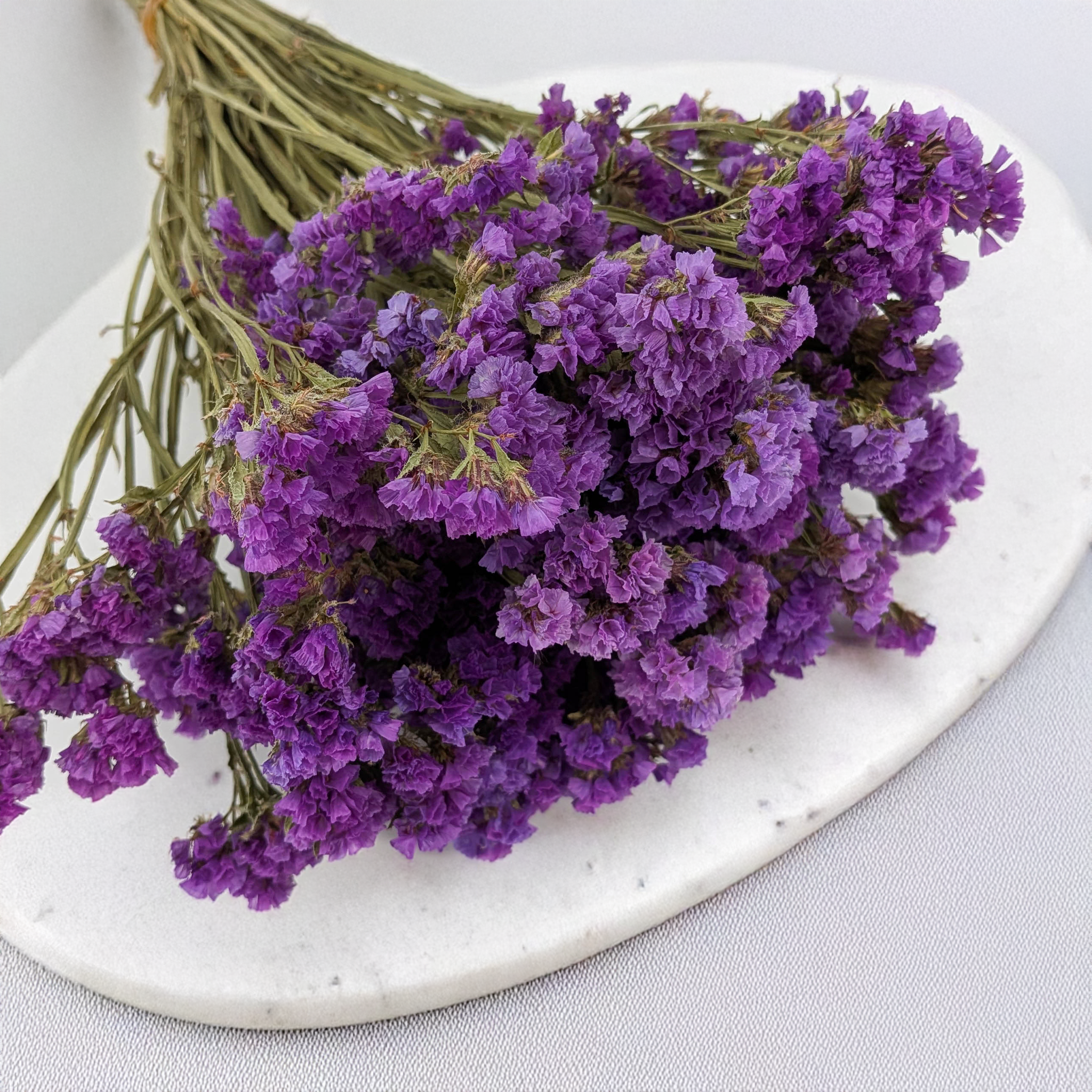 Getrockneter Strandflieder Violett
