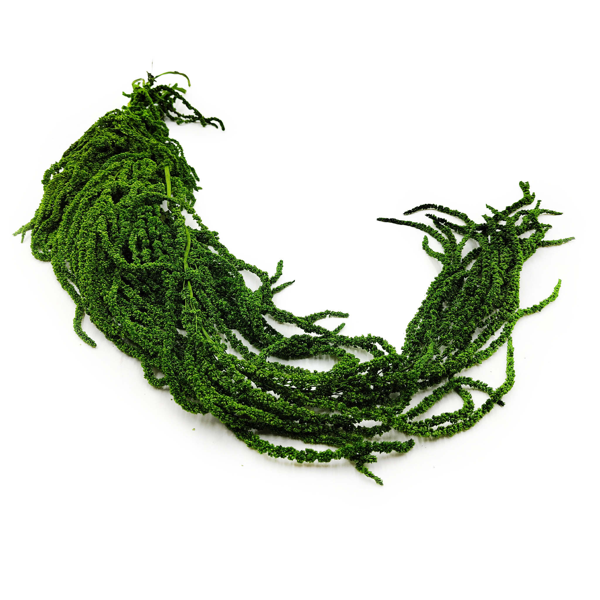 Stabilisiertes Amaranth – Grün
