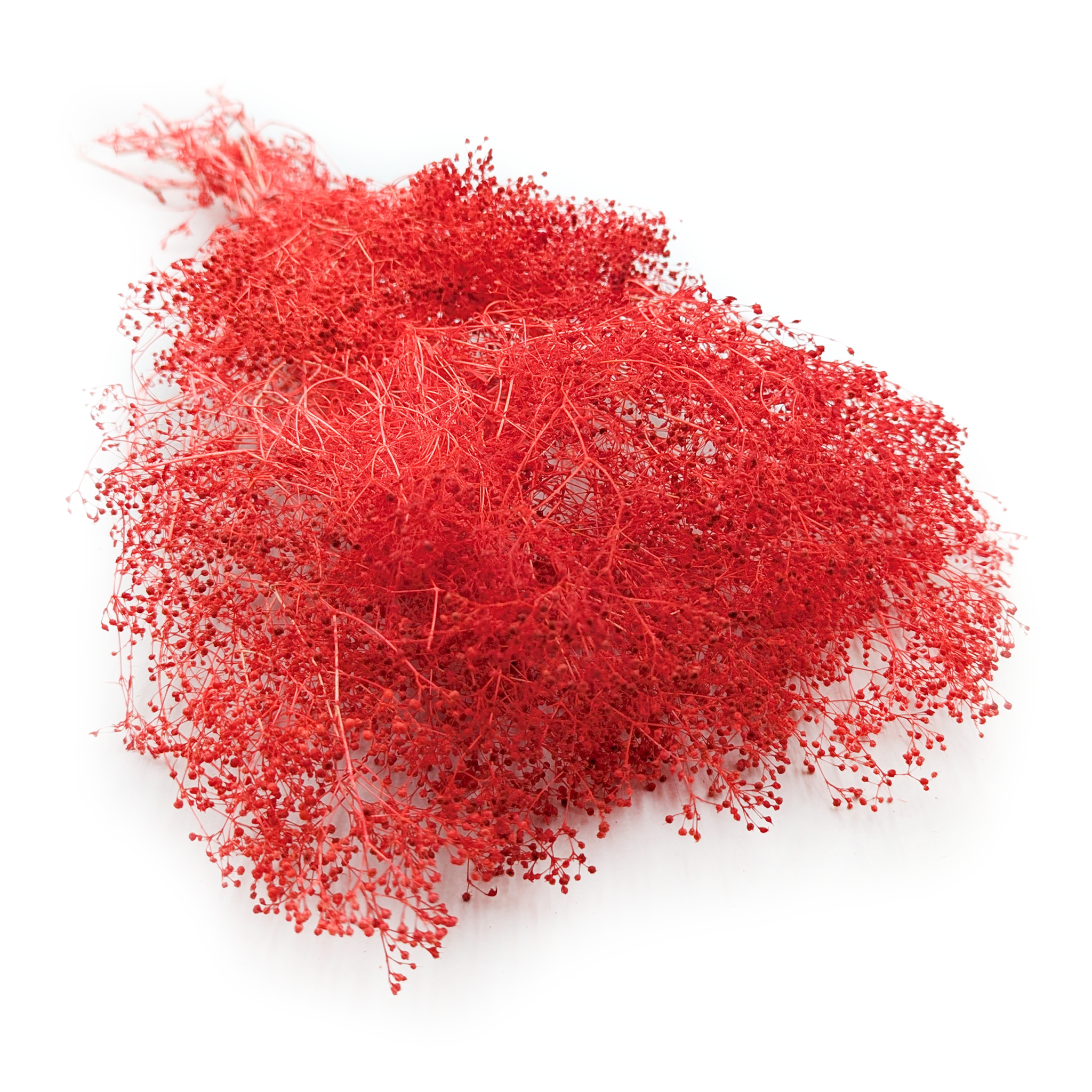 Kleines Shleierkraut Stabilisiertes - (Gypsophila) - Rot