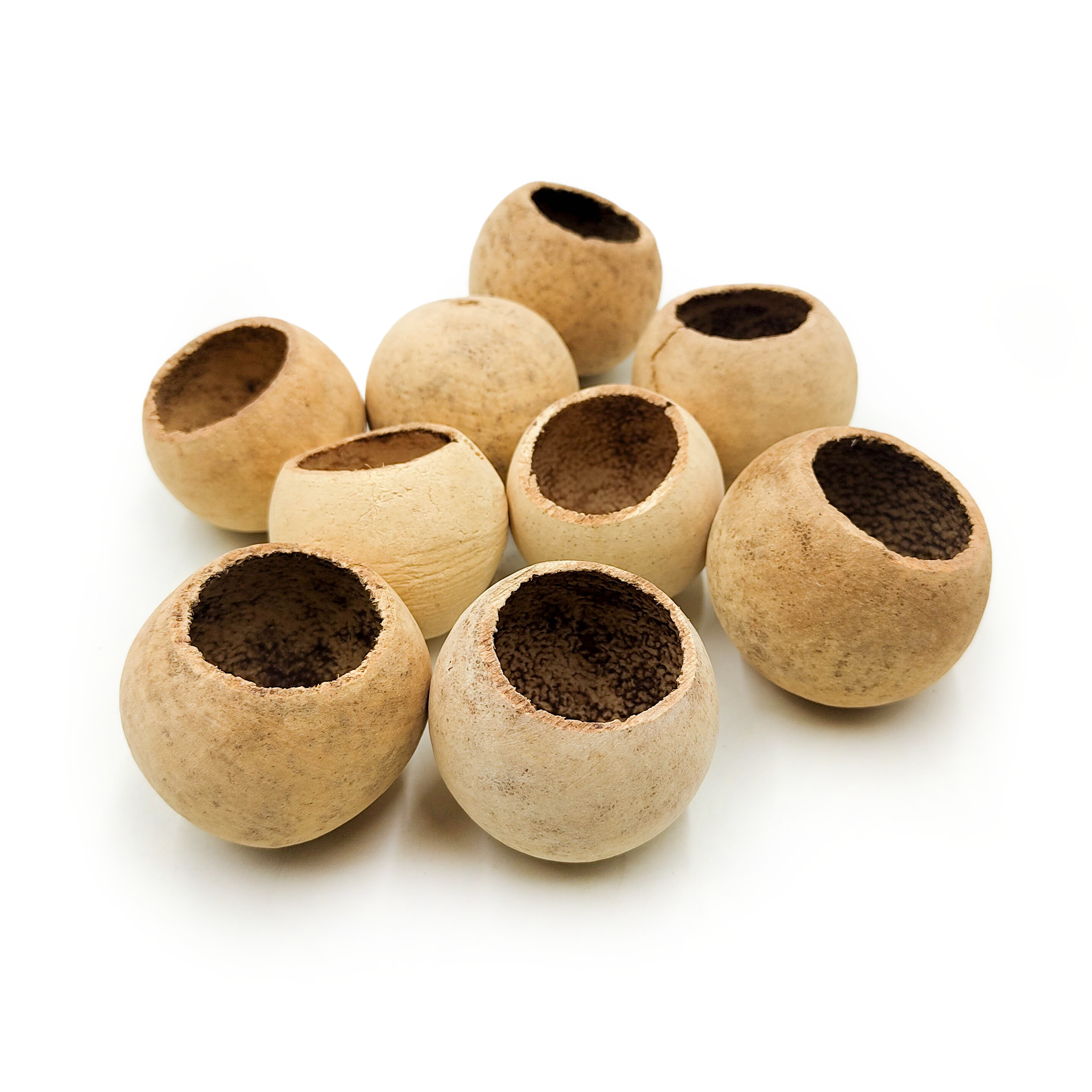 Bell Cup – Natur – Groß – 10 Stück im Set
