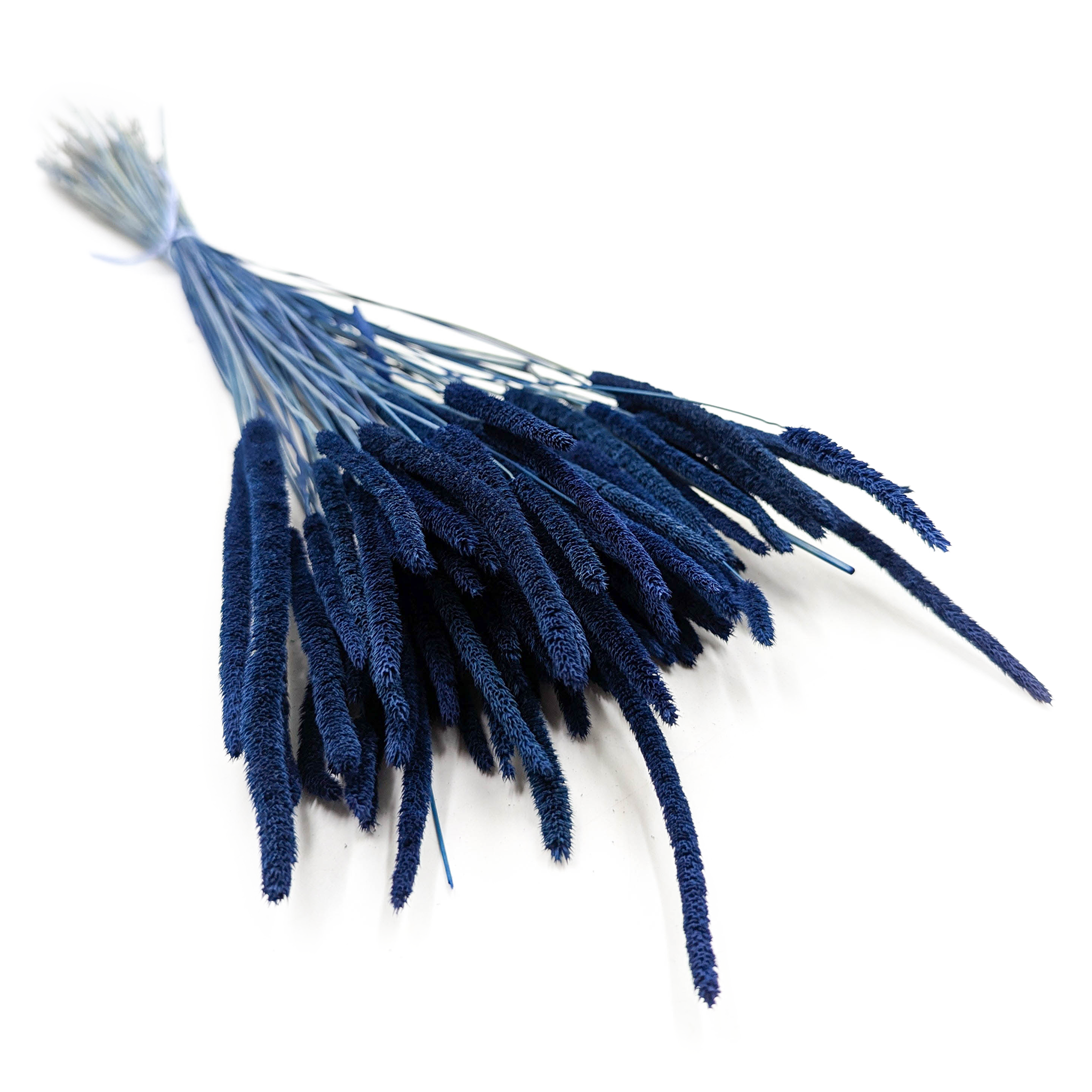 Getrocknetes Timothy-Gras – Blau