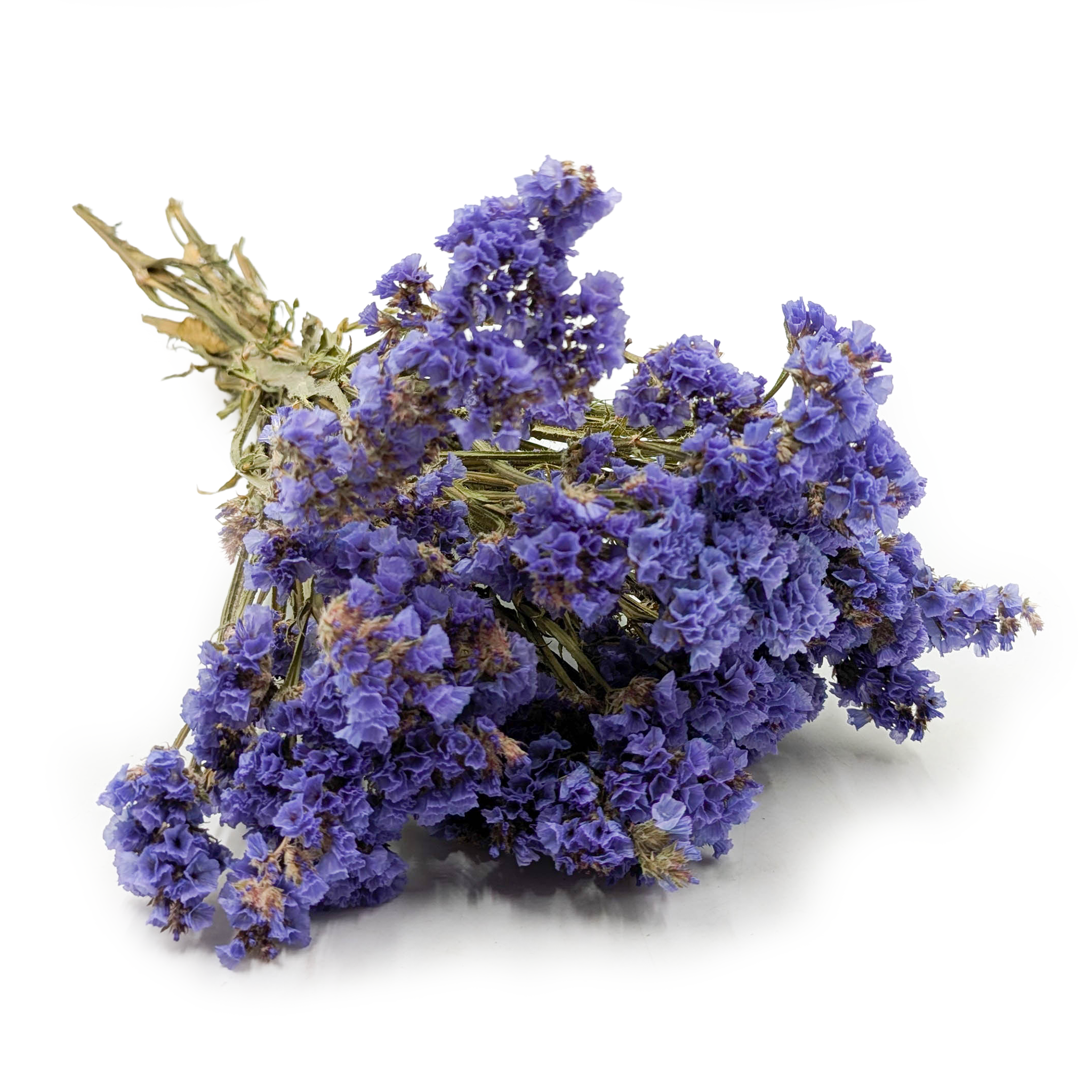 Getrockneter Strandflieder – (Limonium sinuatum) – Blau