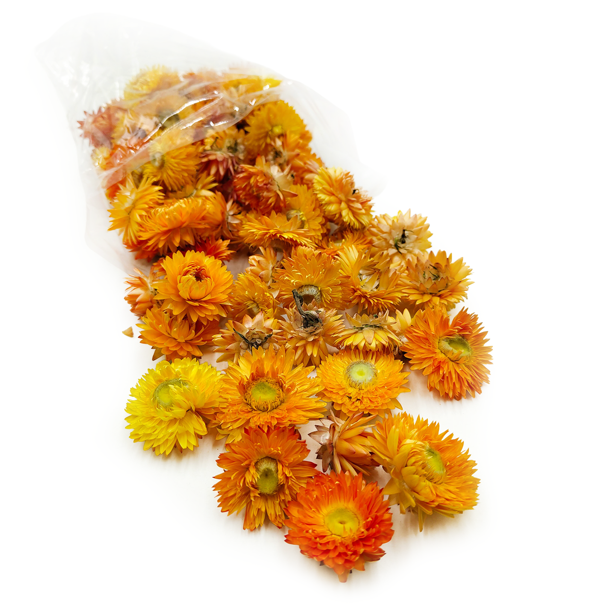 Immortelle Getrocknete – Blütenköpfe – (Helichrysum) – Zitrone (1)