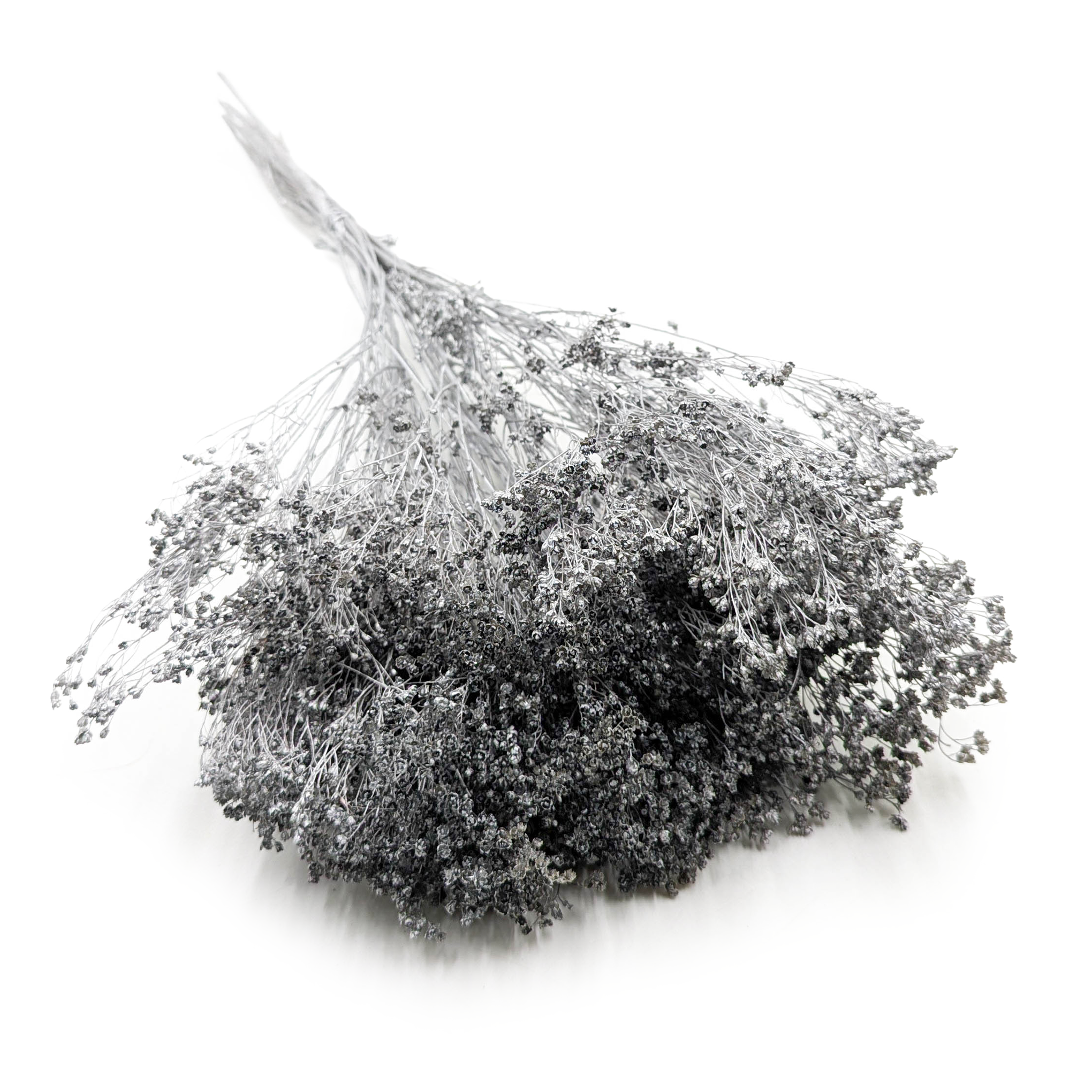 Broom Bloom – Getrockneter Ginster – Silber