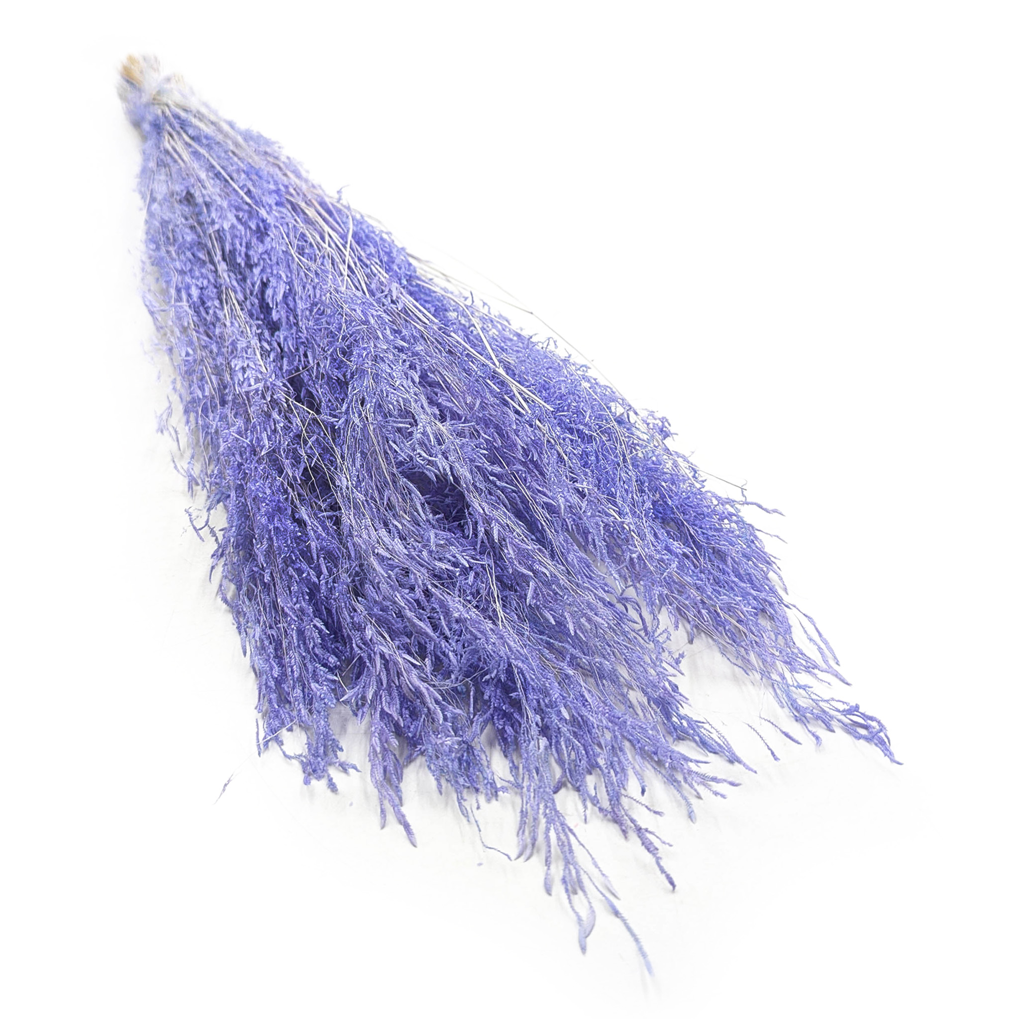 Getrocknetes Zittergras - (Briza Segromigno) - Lavendel 