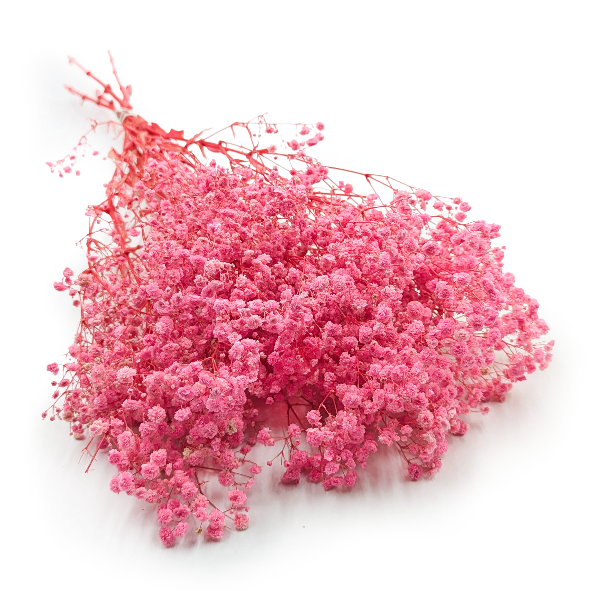 Stabilisierte Schleierkraut - (Gypsophila) - Royal Bouquet - Rosa