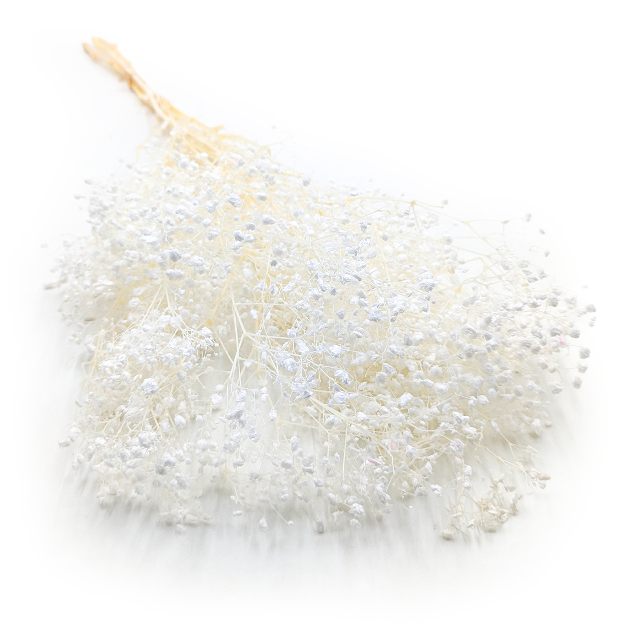 Stabilisierte Schleierkraut - (Gypsophila) - Royal Bouquet - Weiß Gebleicht