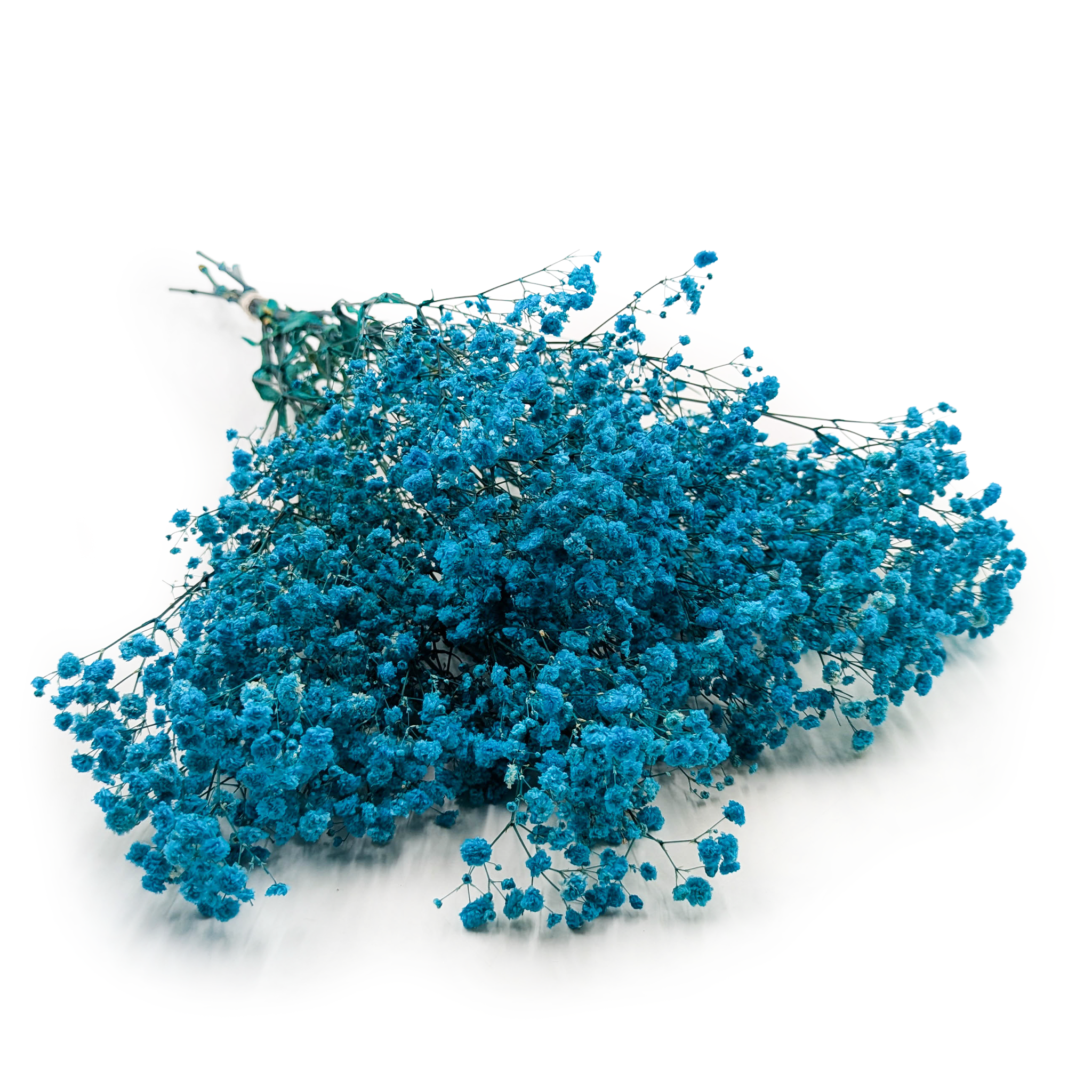 Stabilisierte Schleierkraut - (Gypsophila) - Royal  Bouquet - Blau