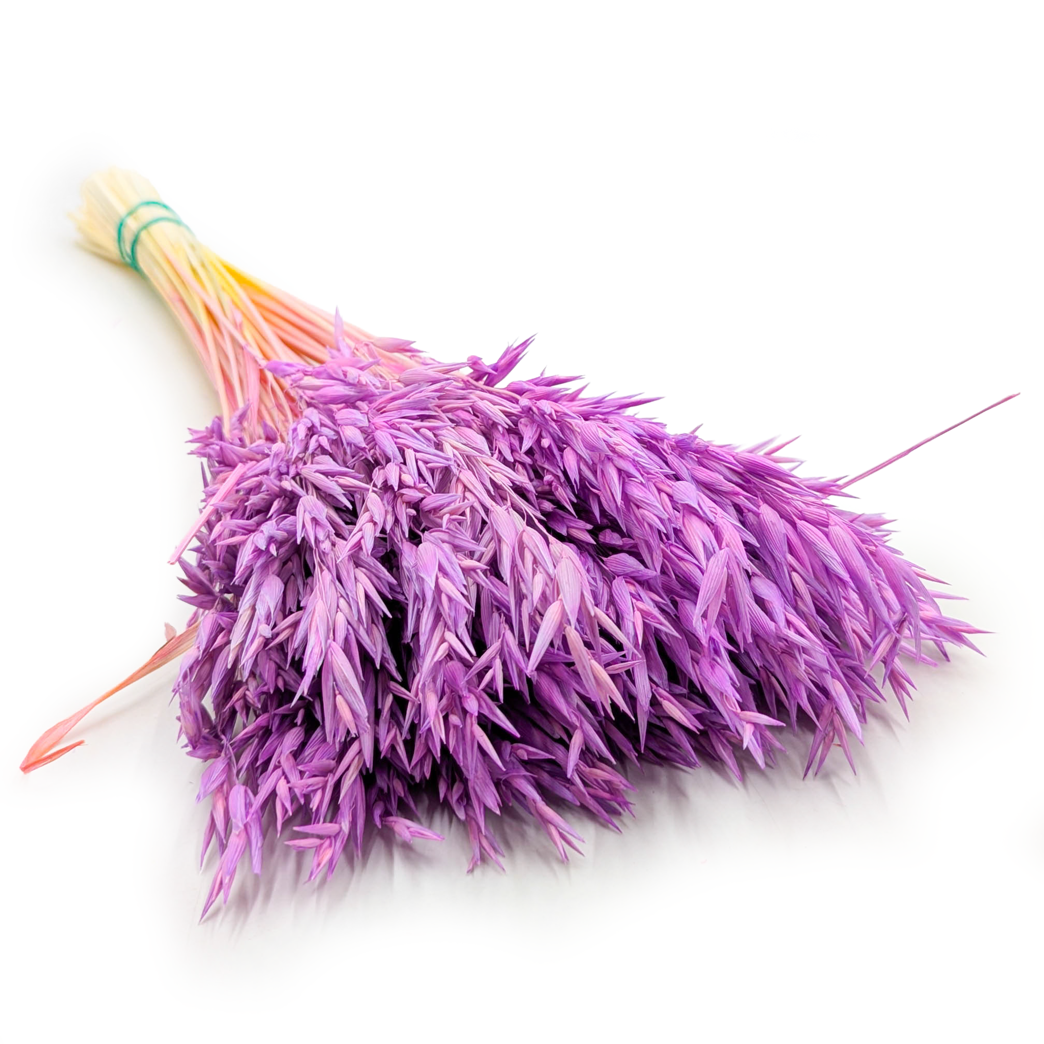 Getrocknete Gerste -  Violette