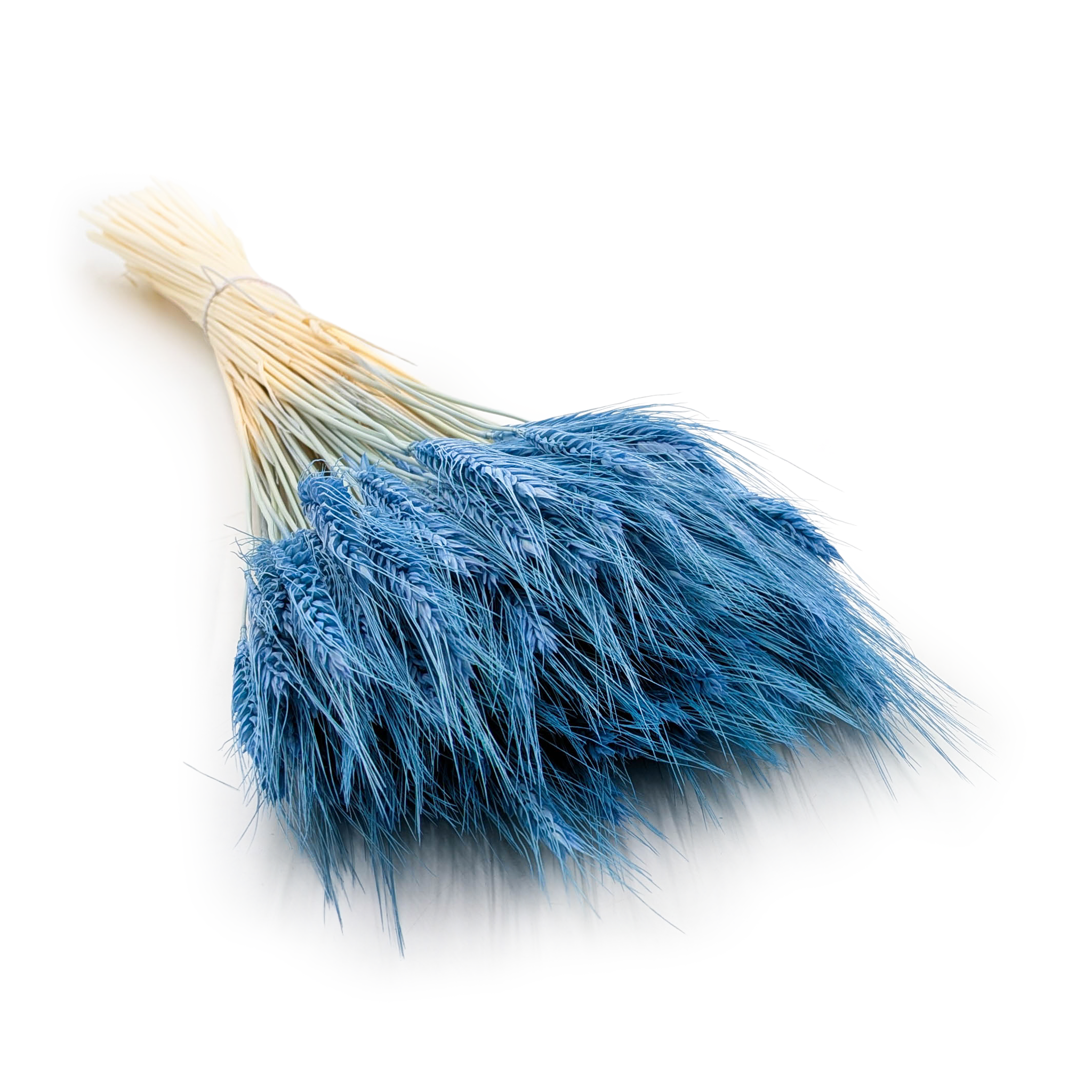 Triticale Getrocknete - Blau