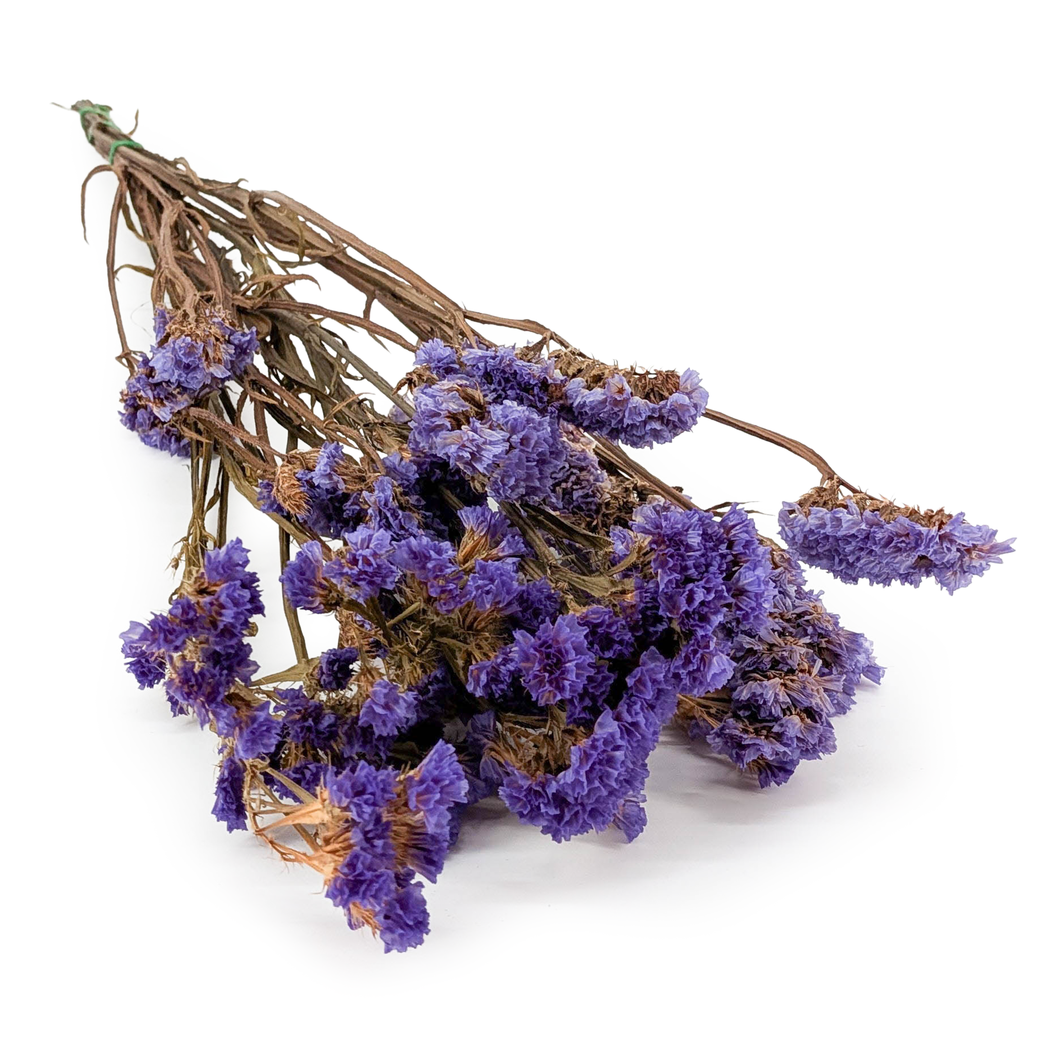  Stabilisierter Strandflieder - (Limonium sinuatum) - Lila