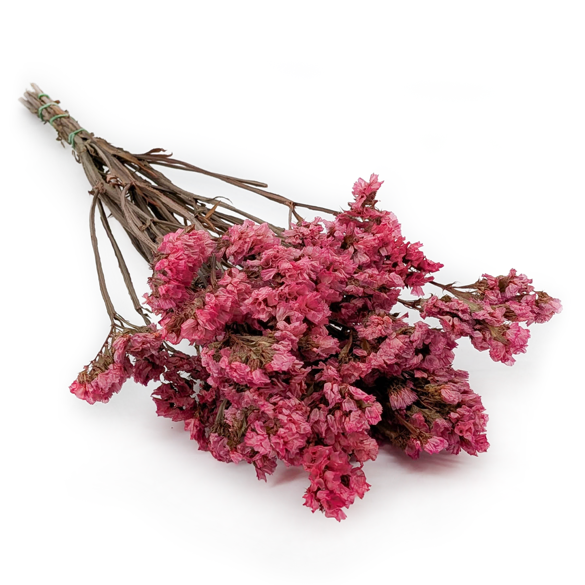  Stabilisierter Strandflieder - (Limonium sinuatum) - Rosa