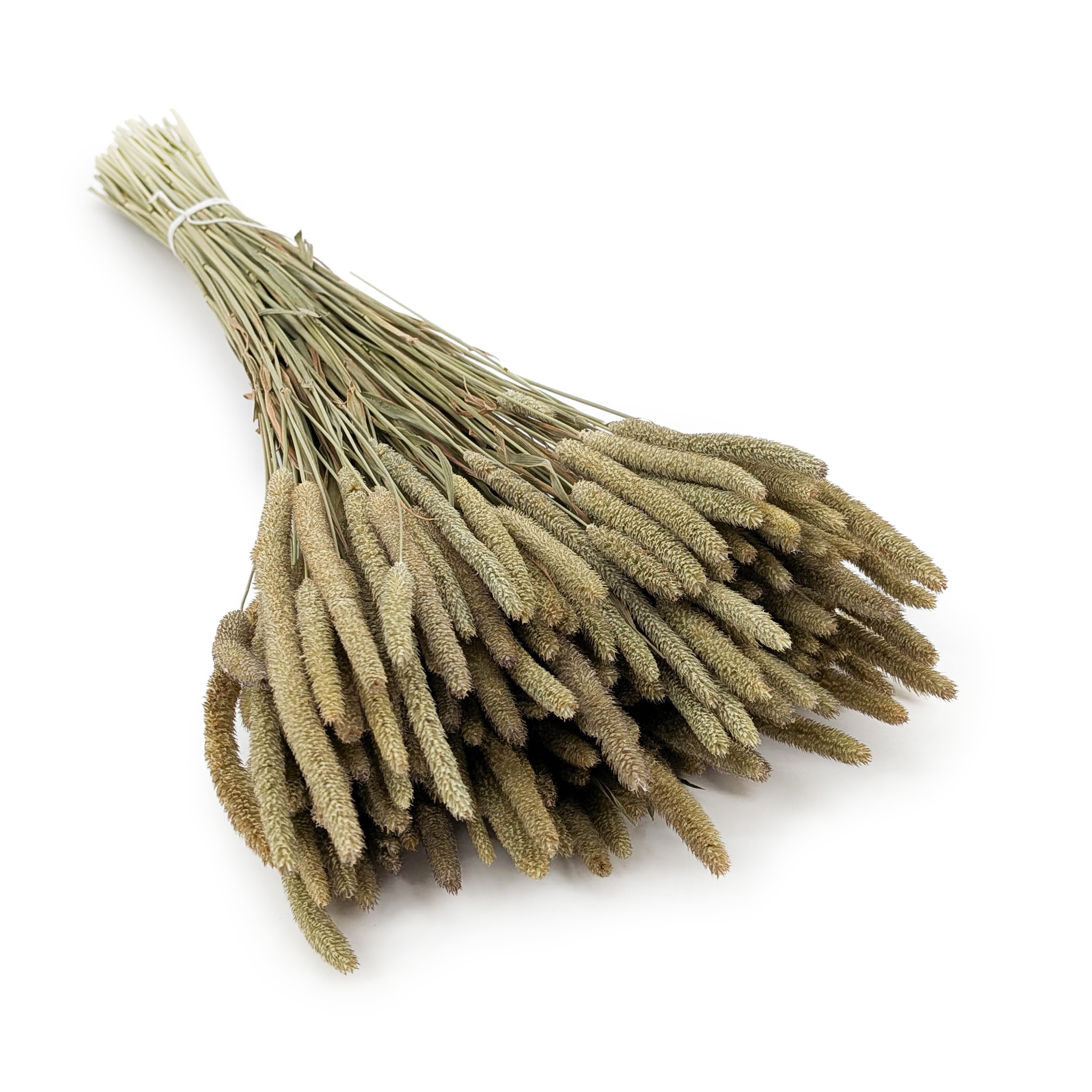 Getrocknetes Timothy-Gras - Natur