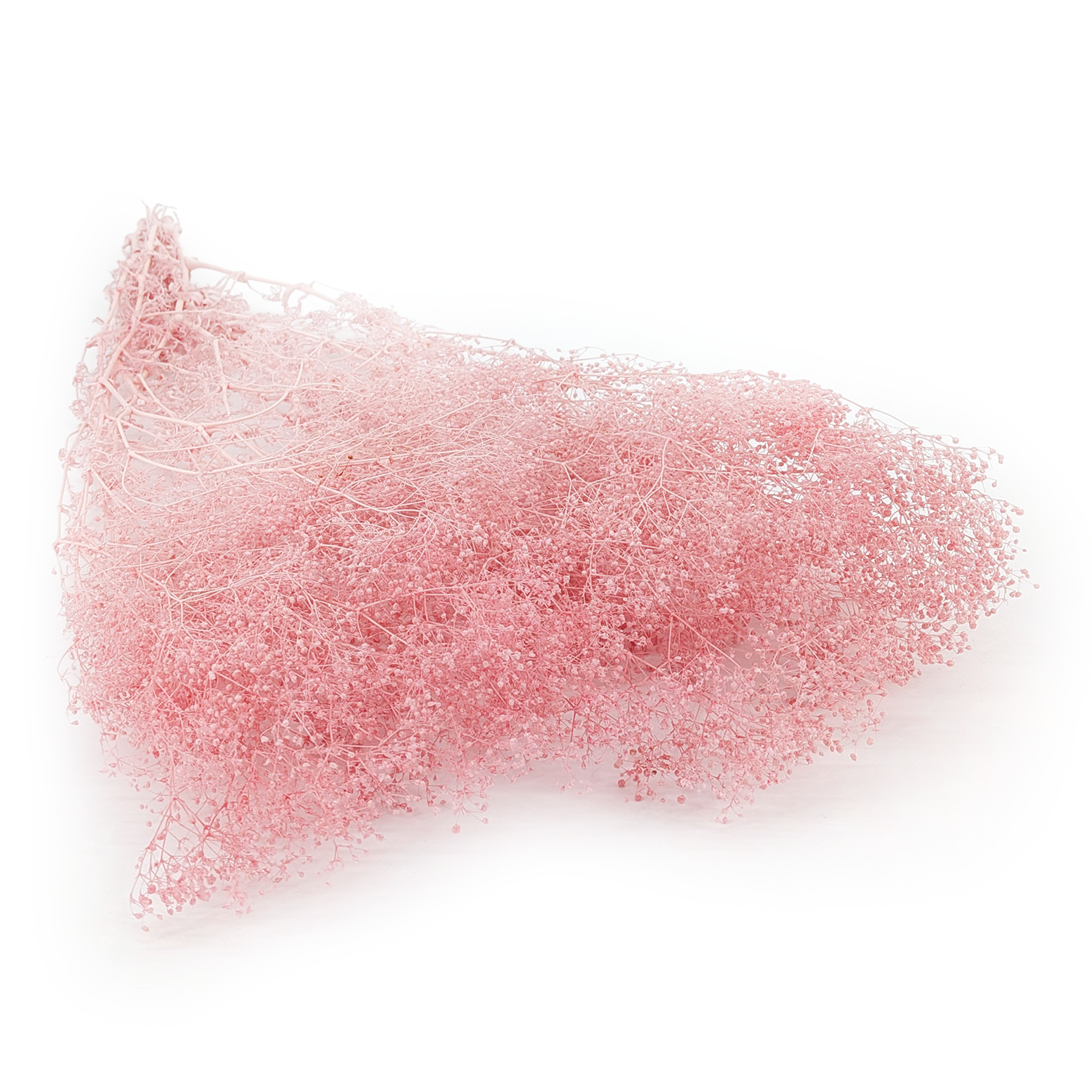 Kleines Shleierkraut Stabilisiertes - (Gypsophila) - Pastellrosa