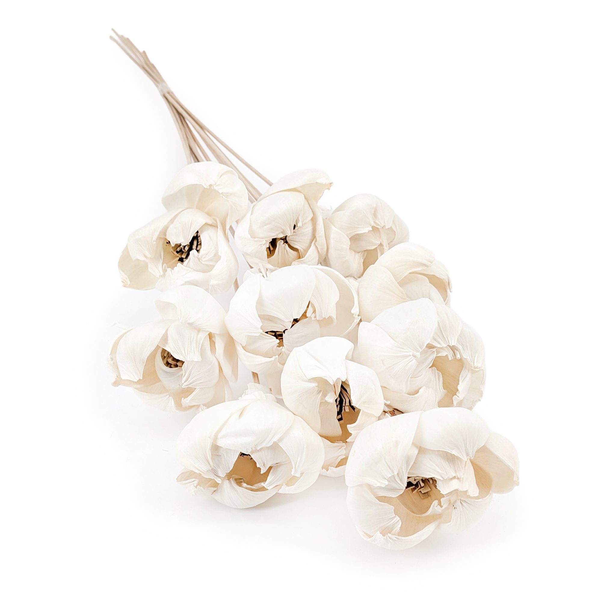 Shola Blume – (Sola Esmeralda) – am Stiel – 10 Stk