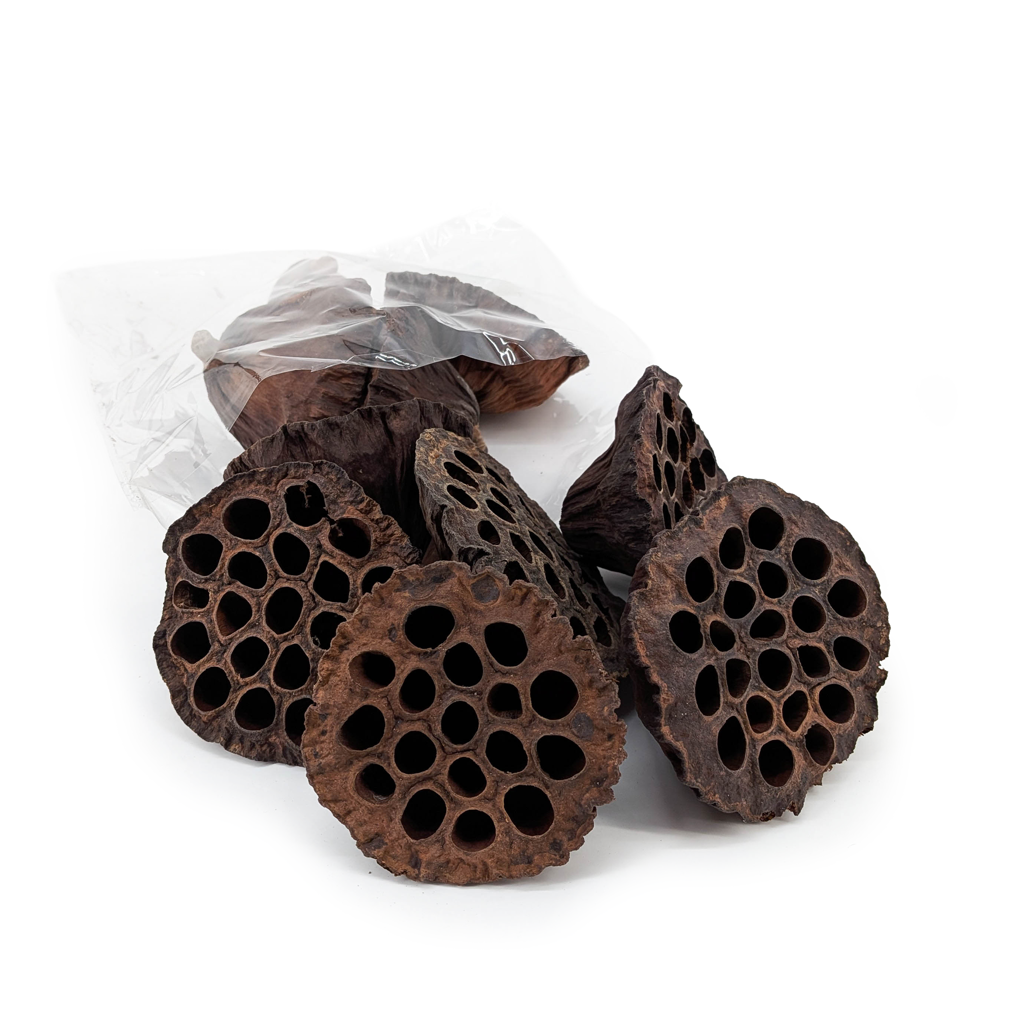 Lotus Getrocknet XL Natur – ca. 10 cm – 10 Stück