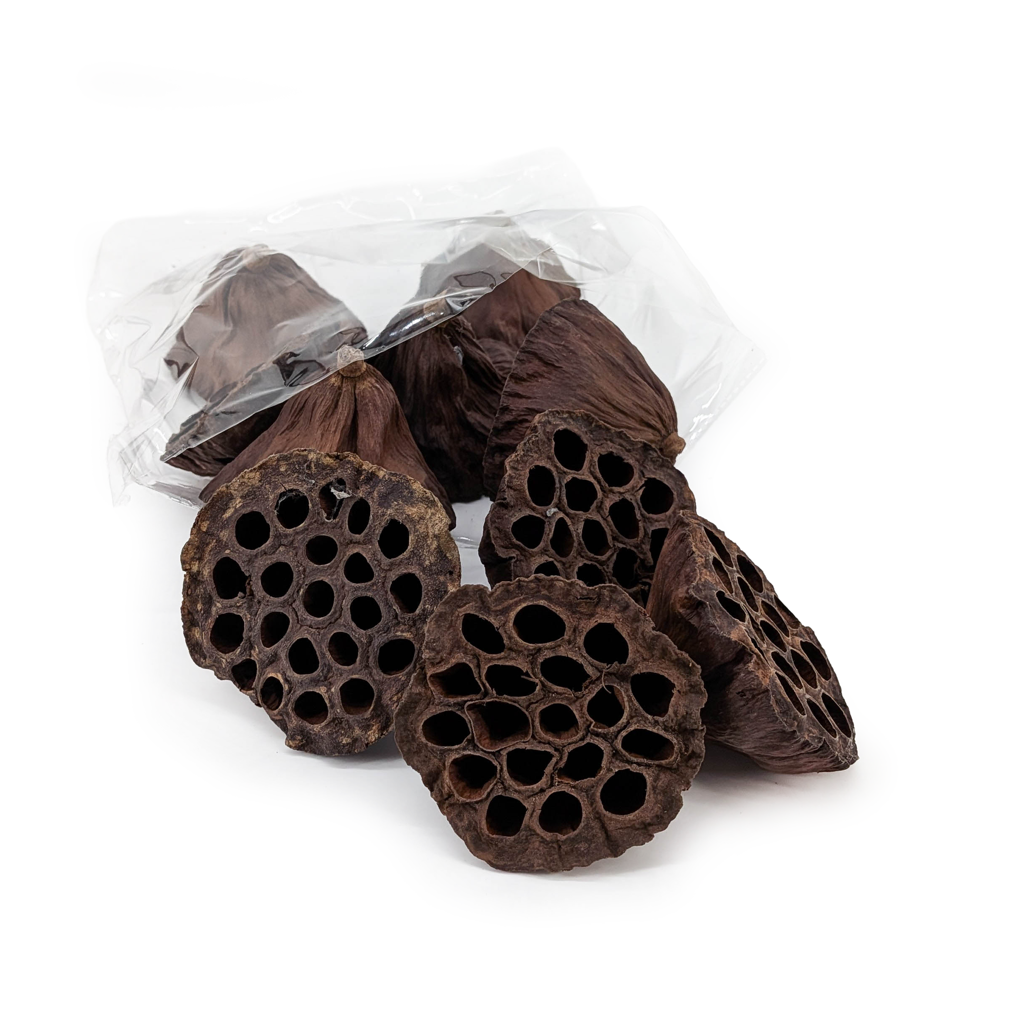 Lotus Getrocknet Mittel – Natur – ca. 6-8 cm – 10 Stück