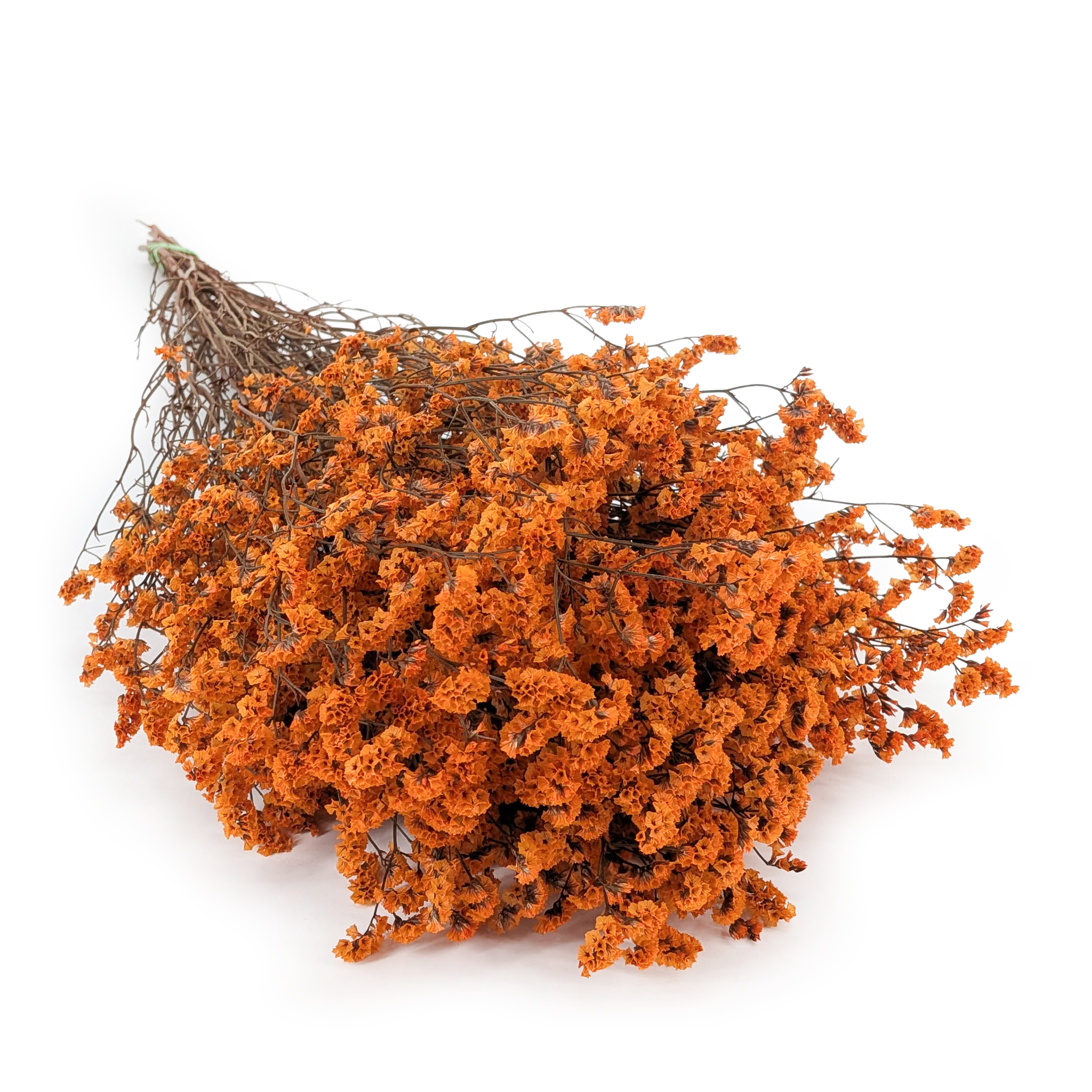 Stabilisiertes Limonium – (Limonium Sinense) – Gebrannte Aprikose