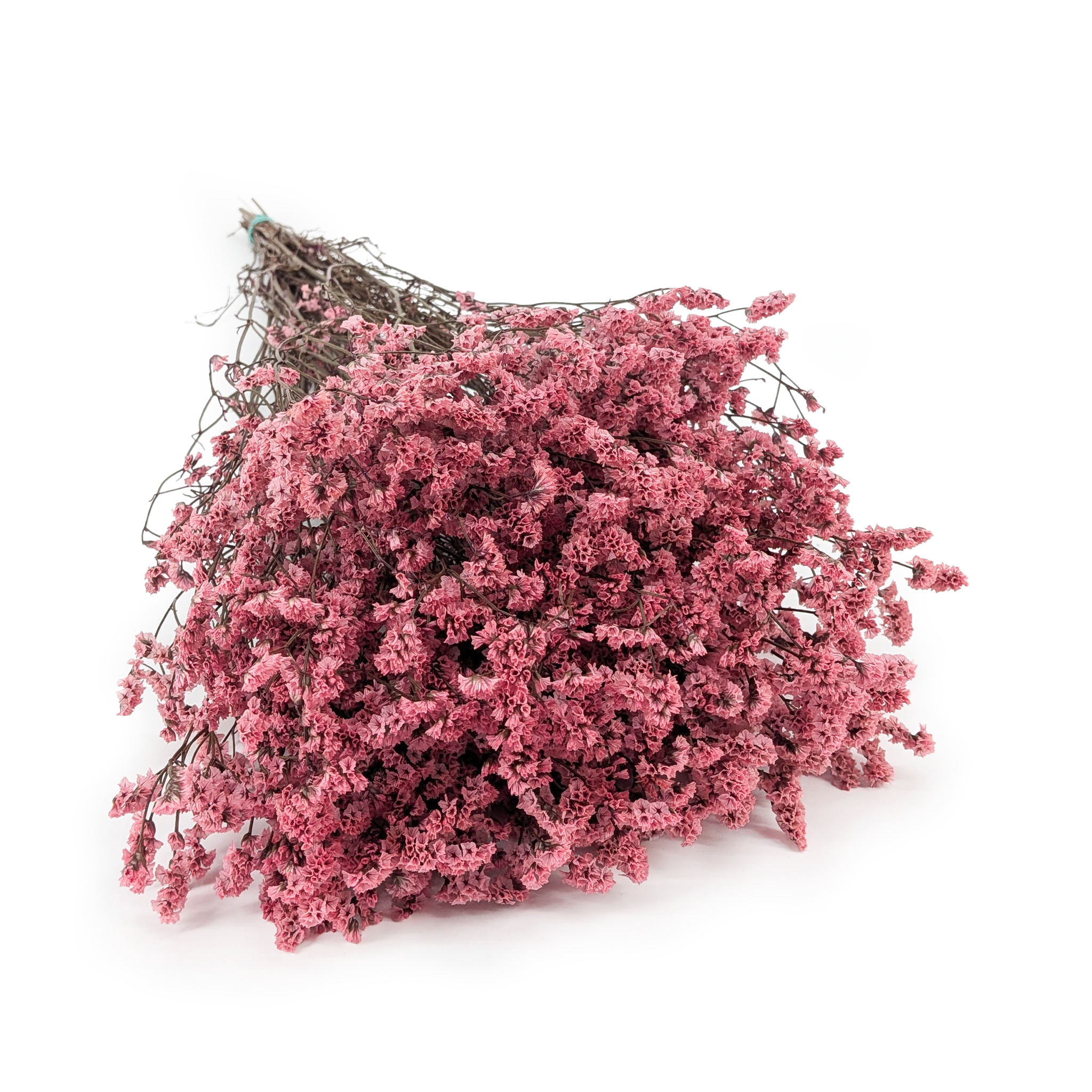 Stabilisiertes Limonium – (Limonium Sinense) – Puderrosa