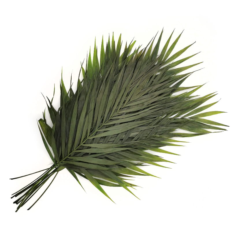 Stabilisiertes Chico Palm - Bouquet
