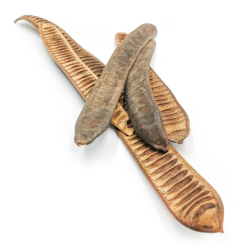 Step Fruit Machete - (Natürliche) - Exotisch Getrocknet - Packung mit 5 Stück