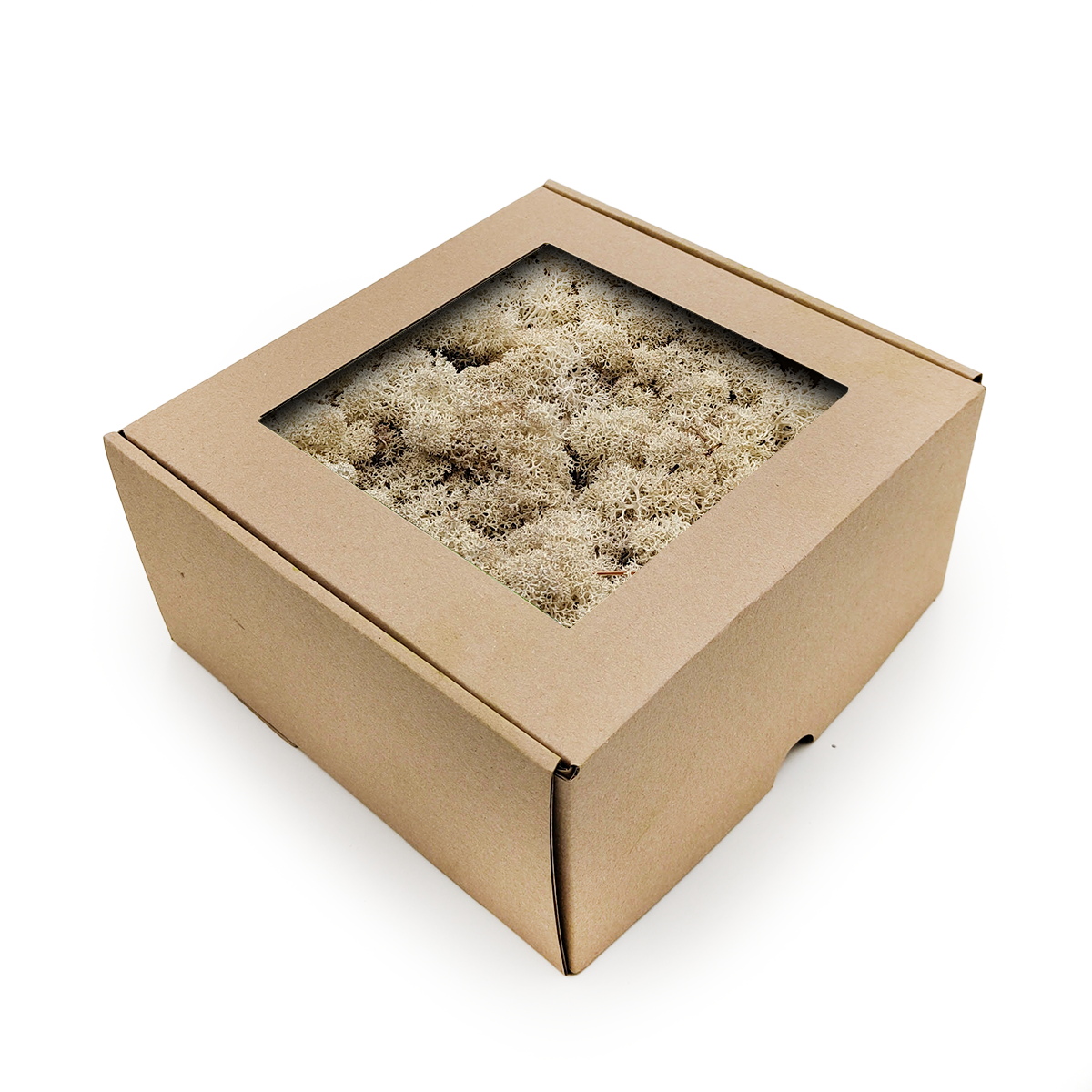Rentiermoos - Islandmoos - Natürliches Weiß 500g NET
