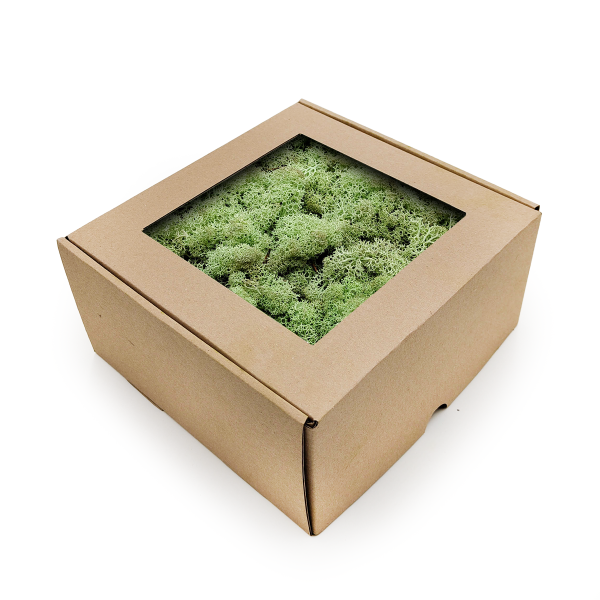 Rentiermoos - Islandmoos - Mintgrün 50g NET
