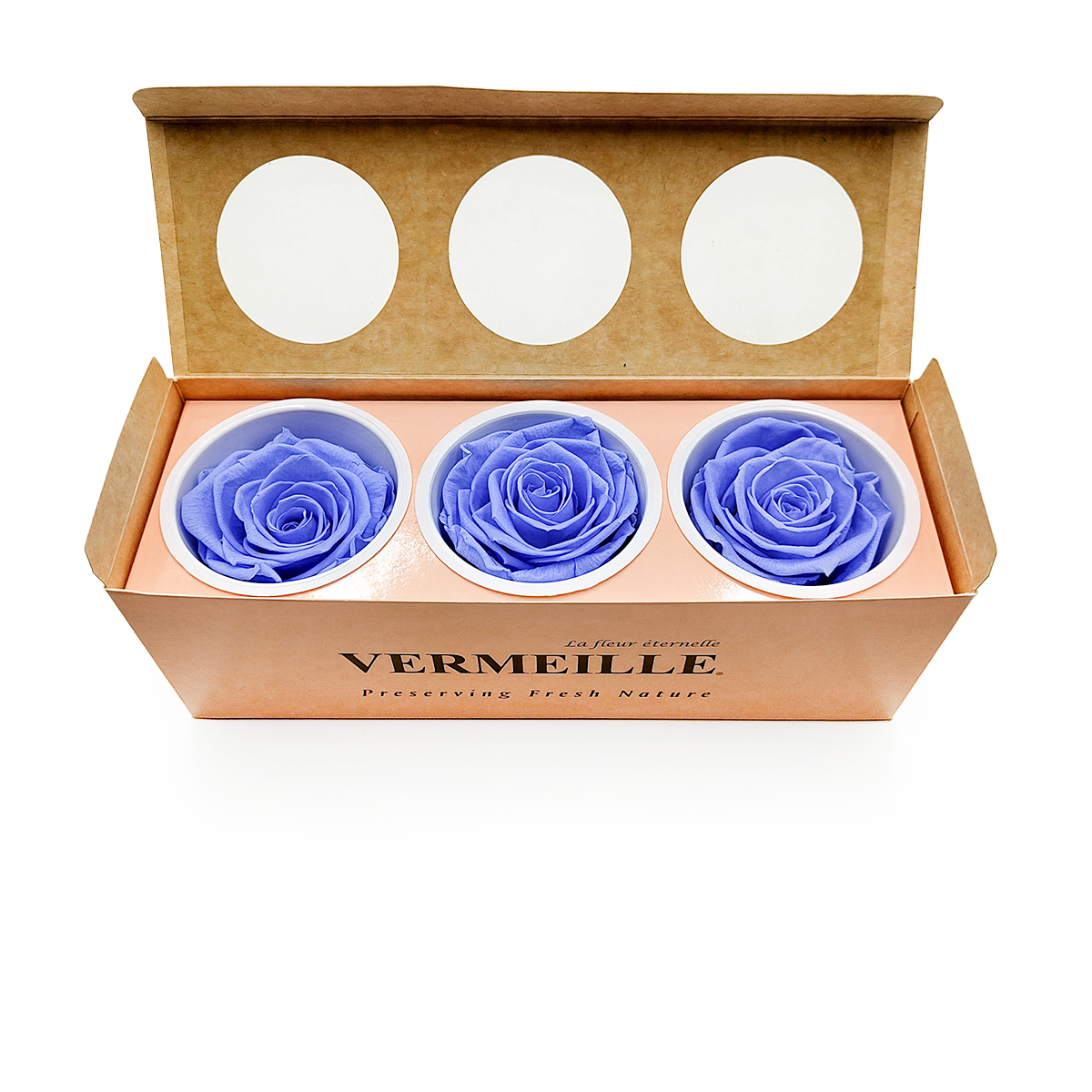 Stabilisierte Rose - Marineblau - XL - 3 Stk
