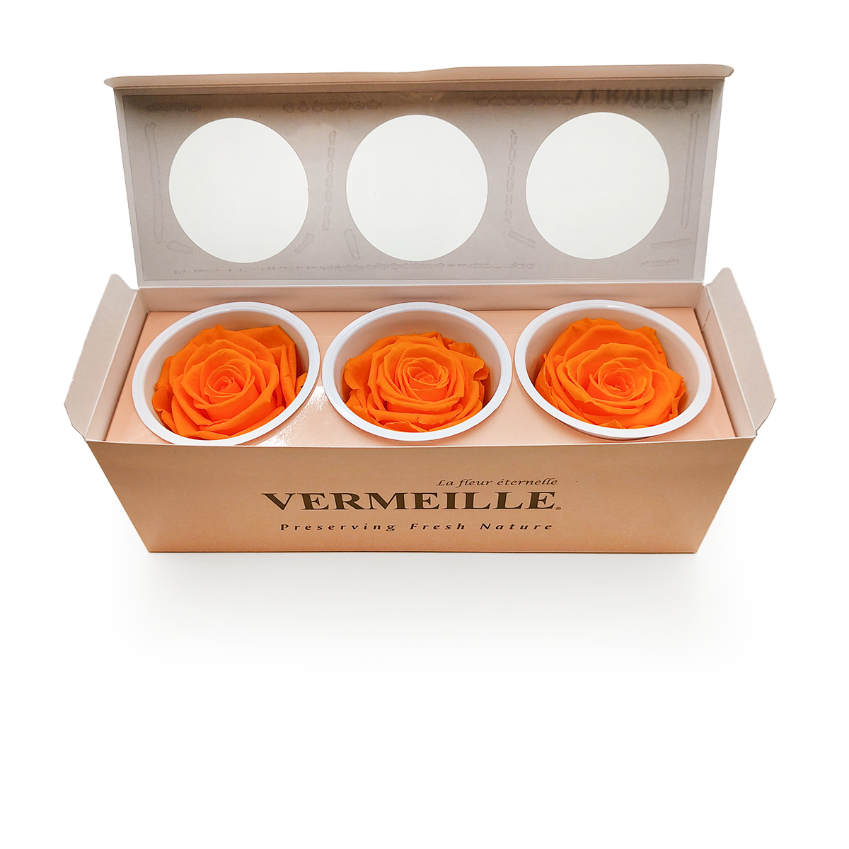 Stabilisierte Rose - Orange - XL - 3 Stk
